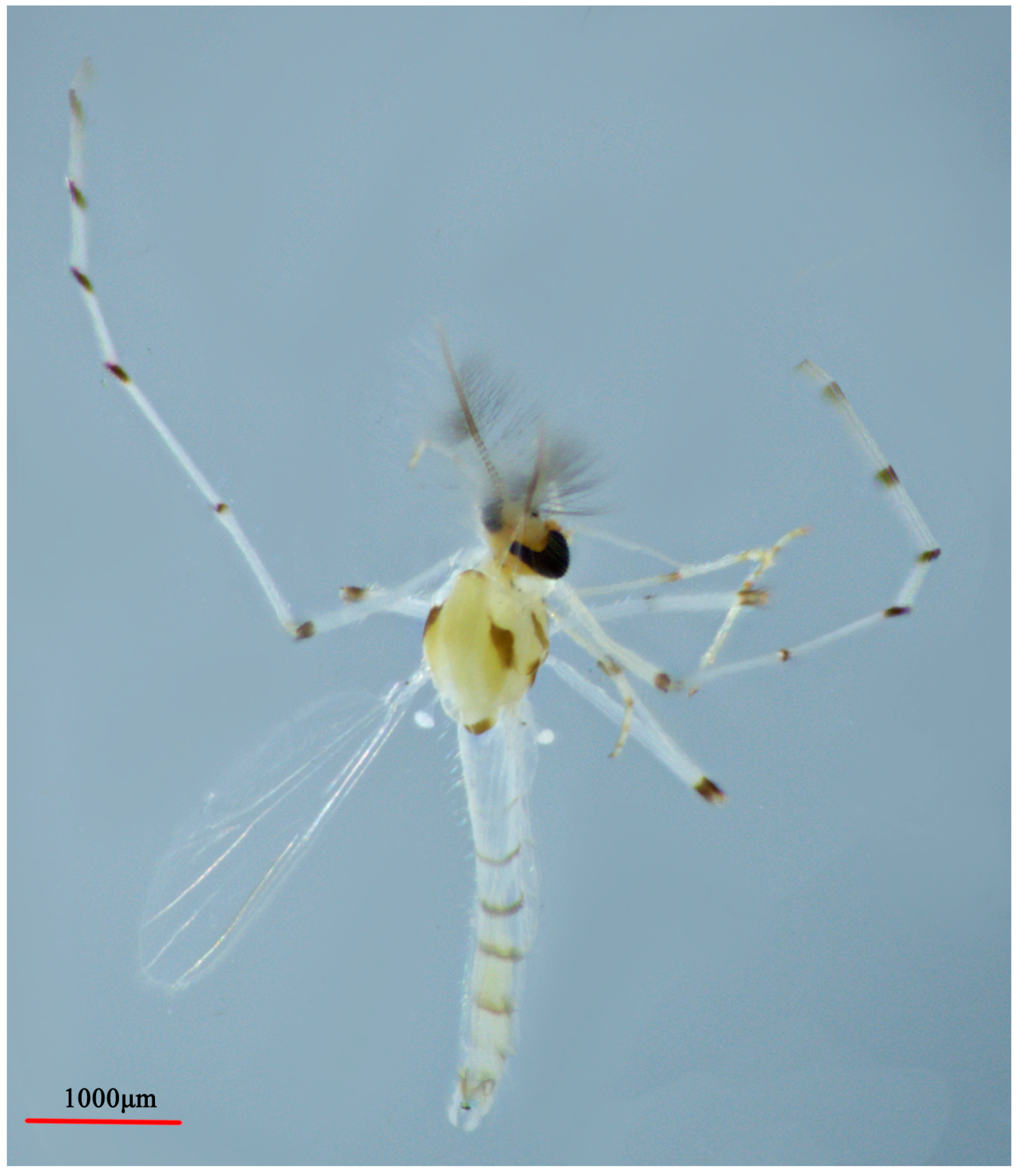 Insects 14 00227 g014