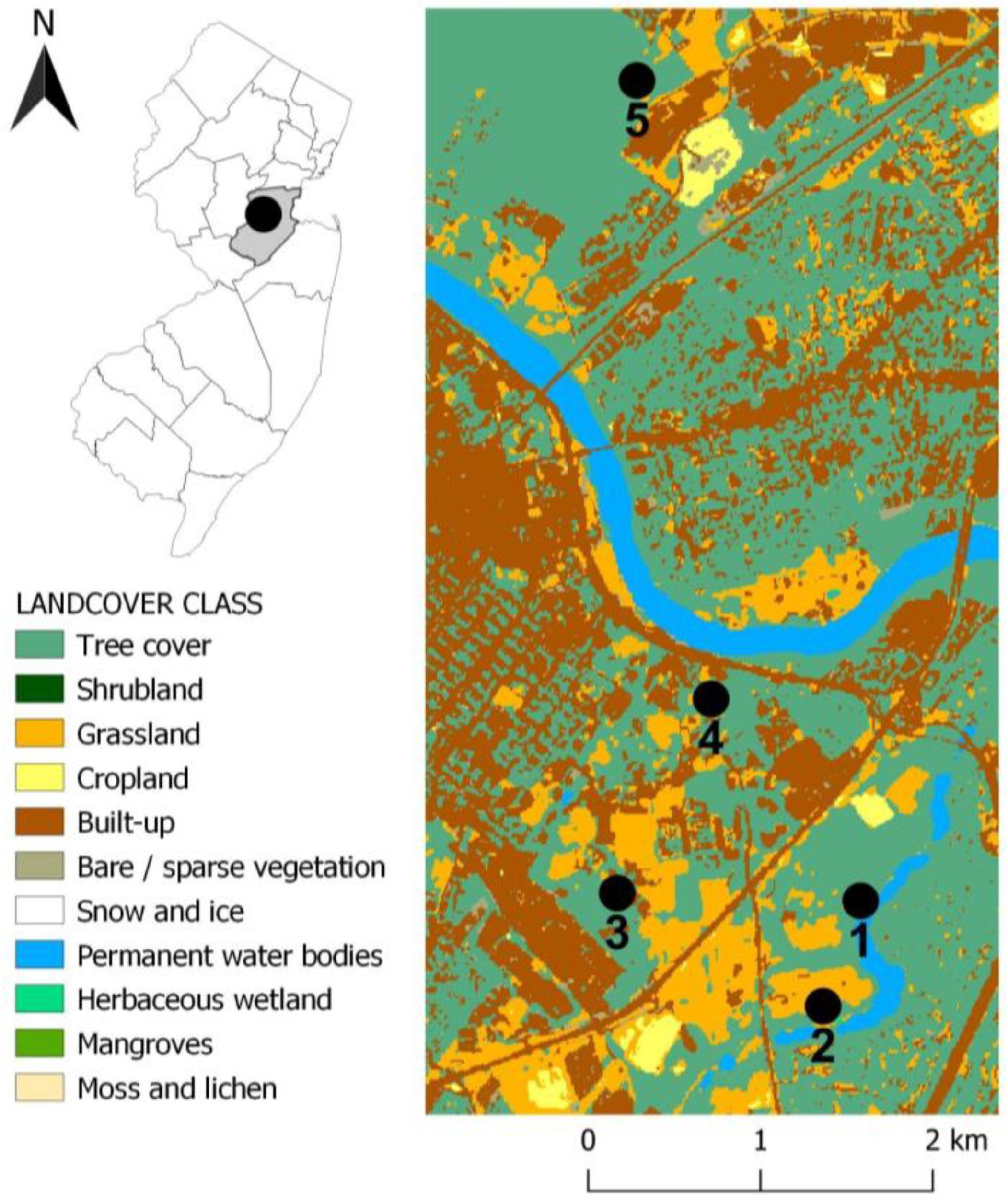 Insects 14 00258 g001