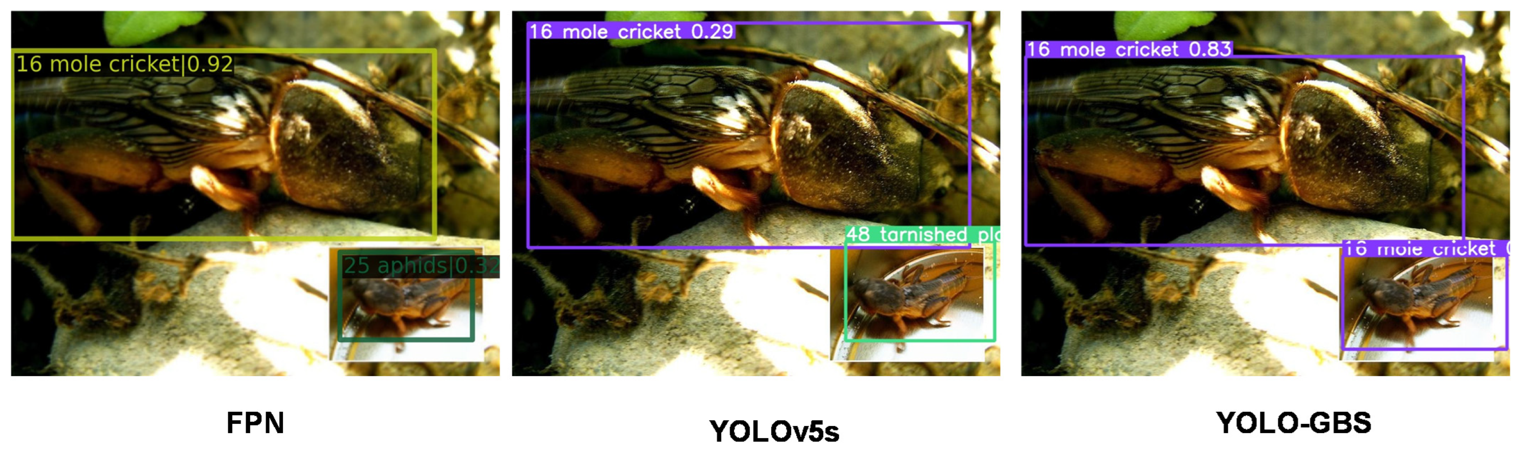 Insects 14 00280 g011 Insects 14 00280 g011