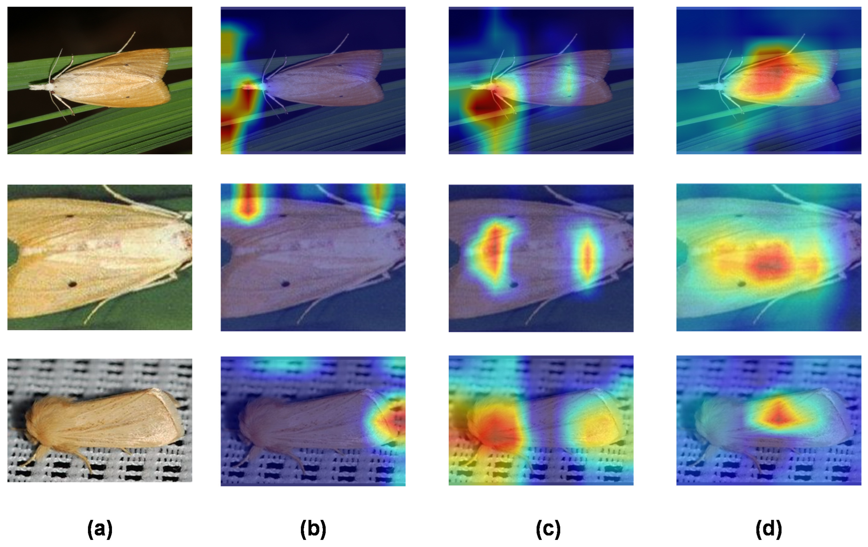 Insects 14 00280 g013 Insects 14 00280 g013