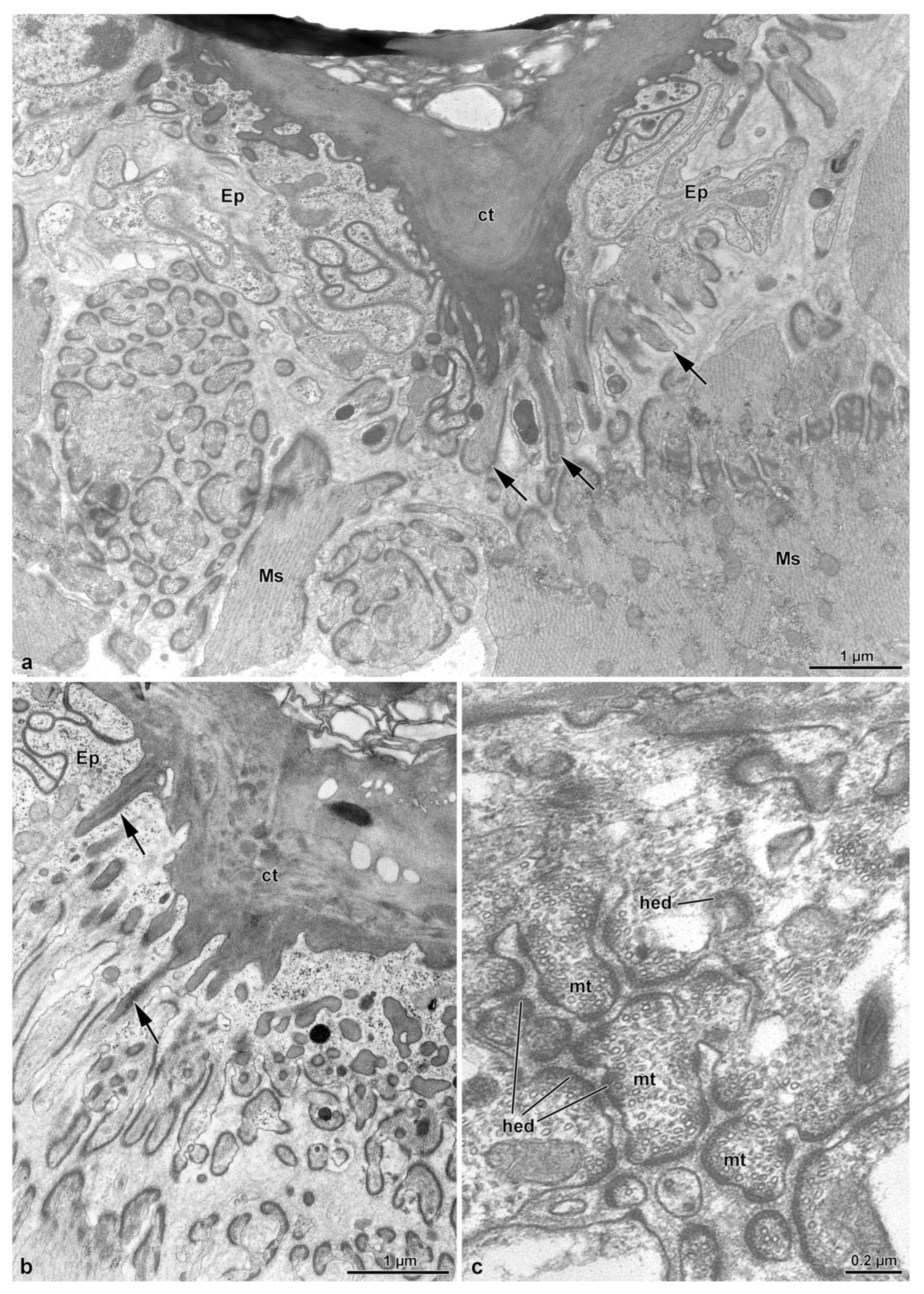 Insects 14 00282 g003