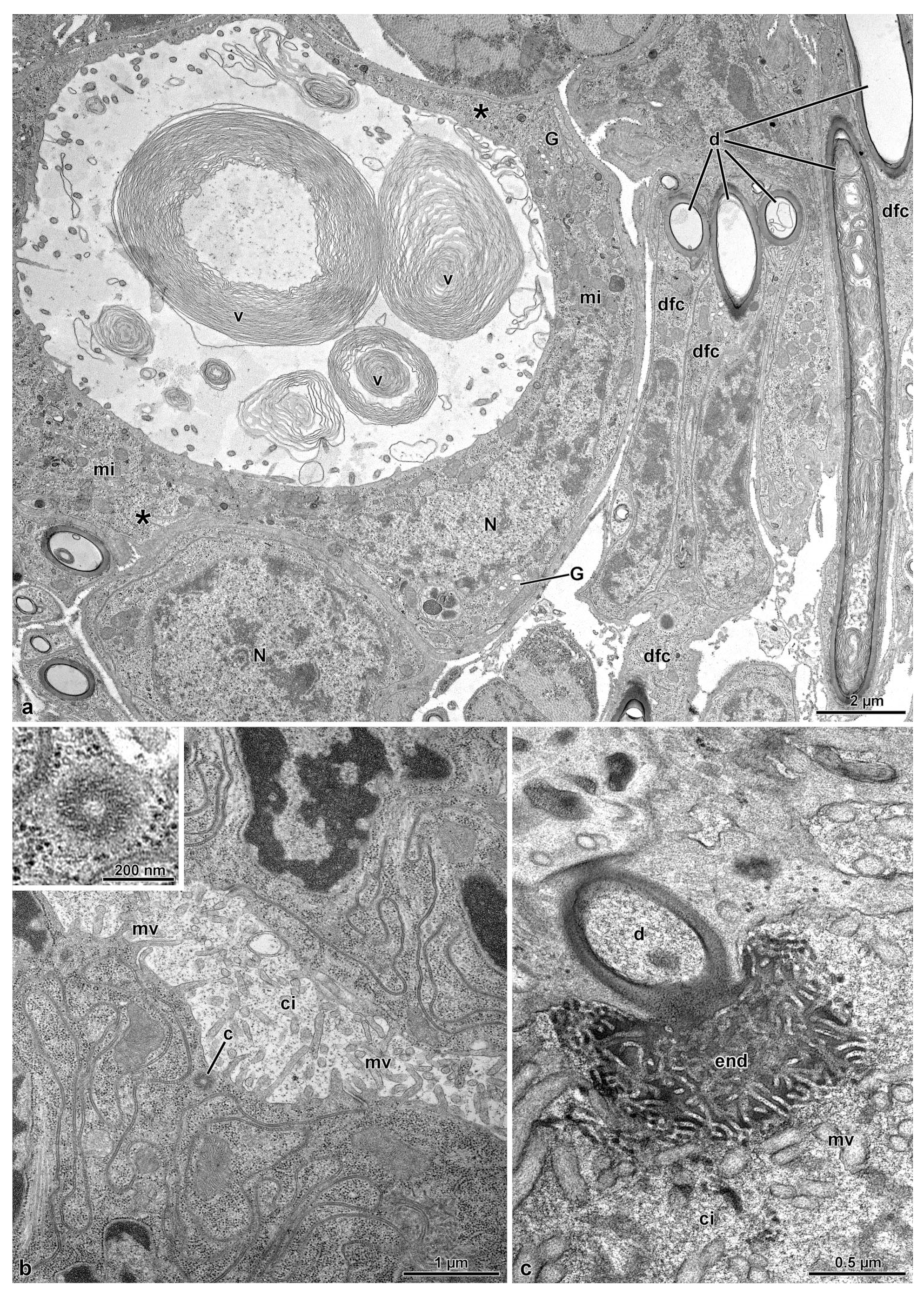 Insects 14 00282 g005