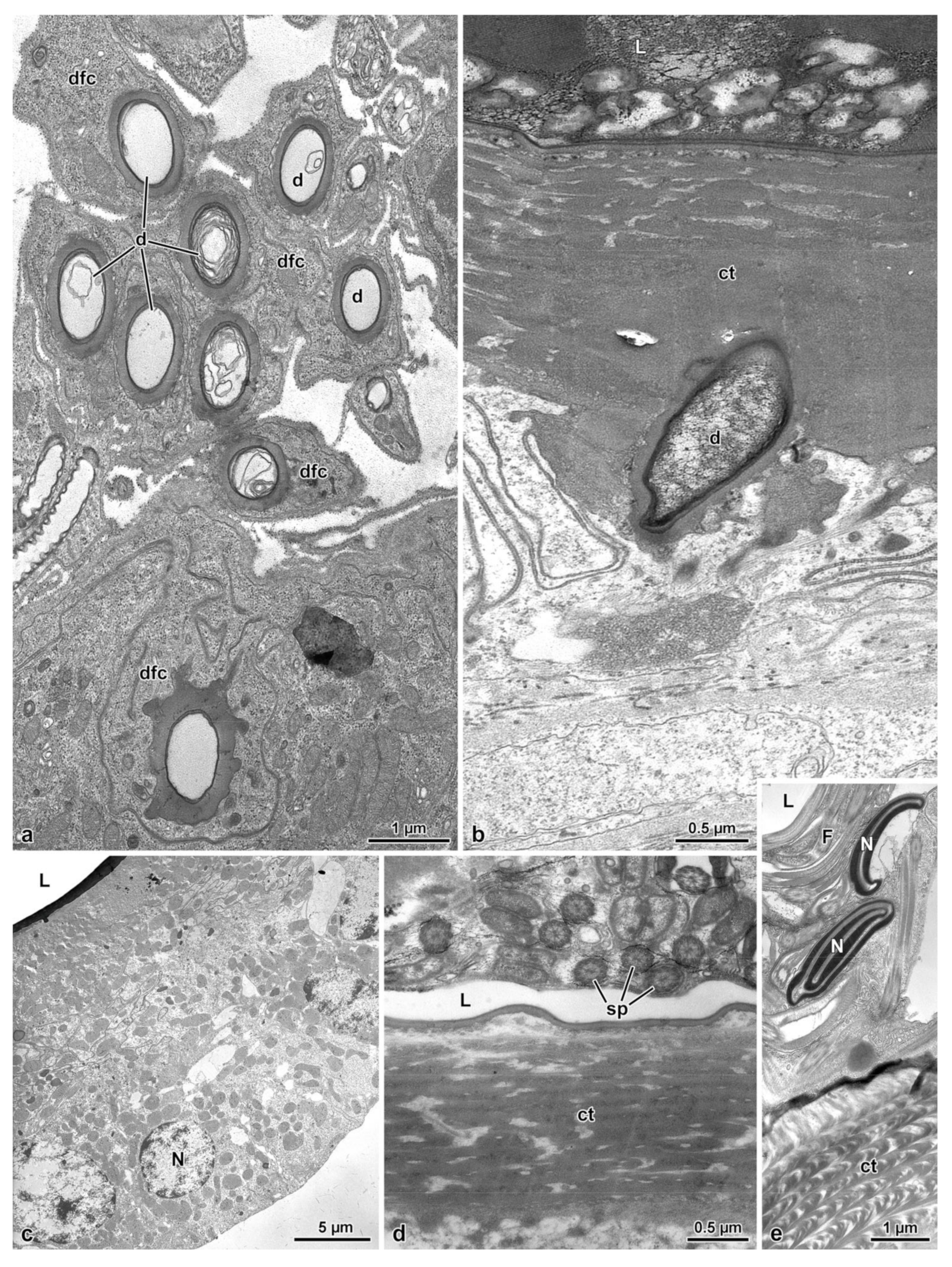 Insects 14 00282 g006