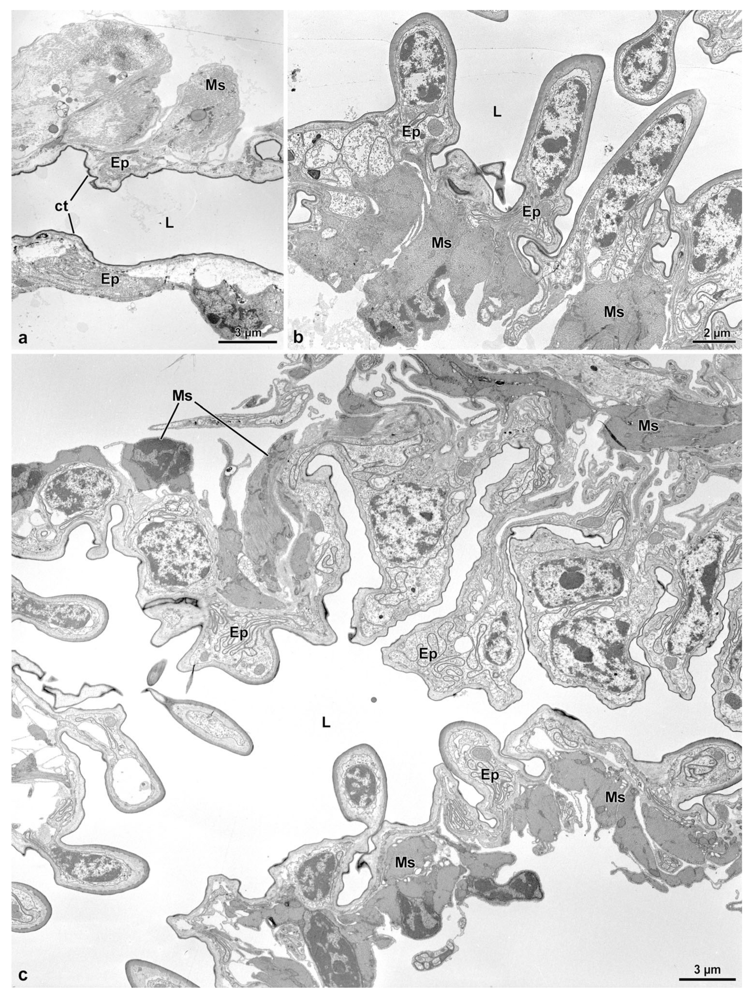 Insects 14 00282 g007