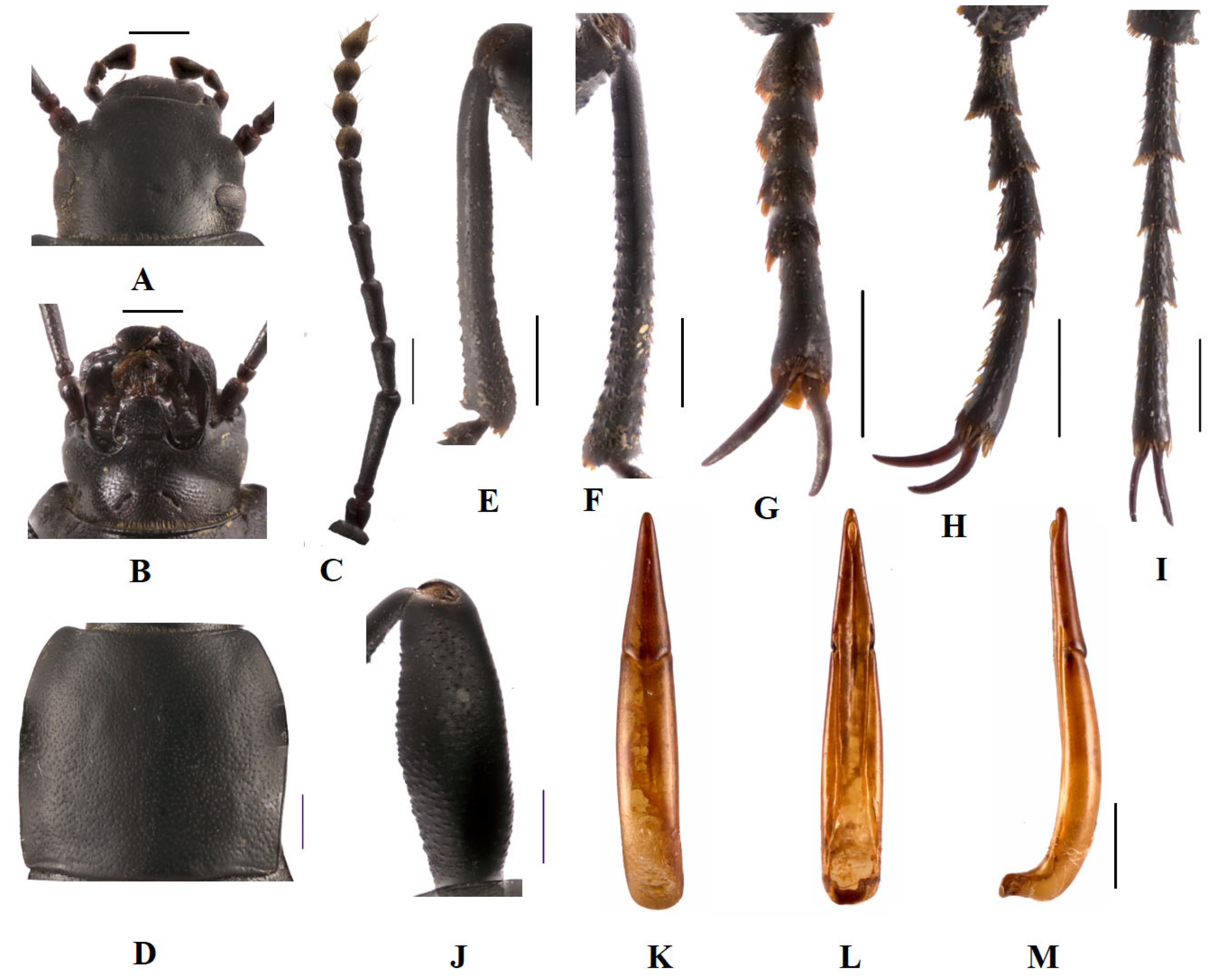 Insects 14 00284 g001