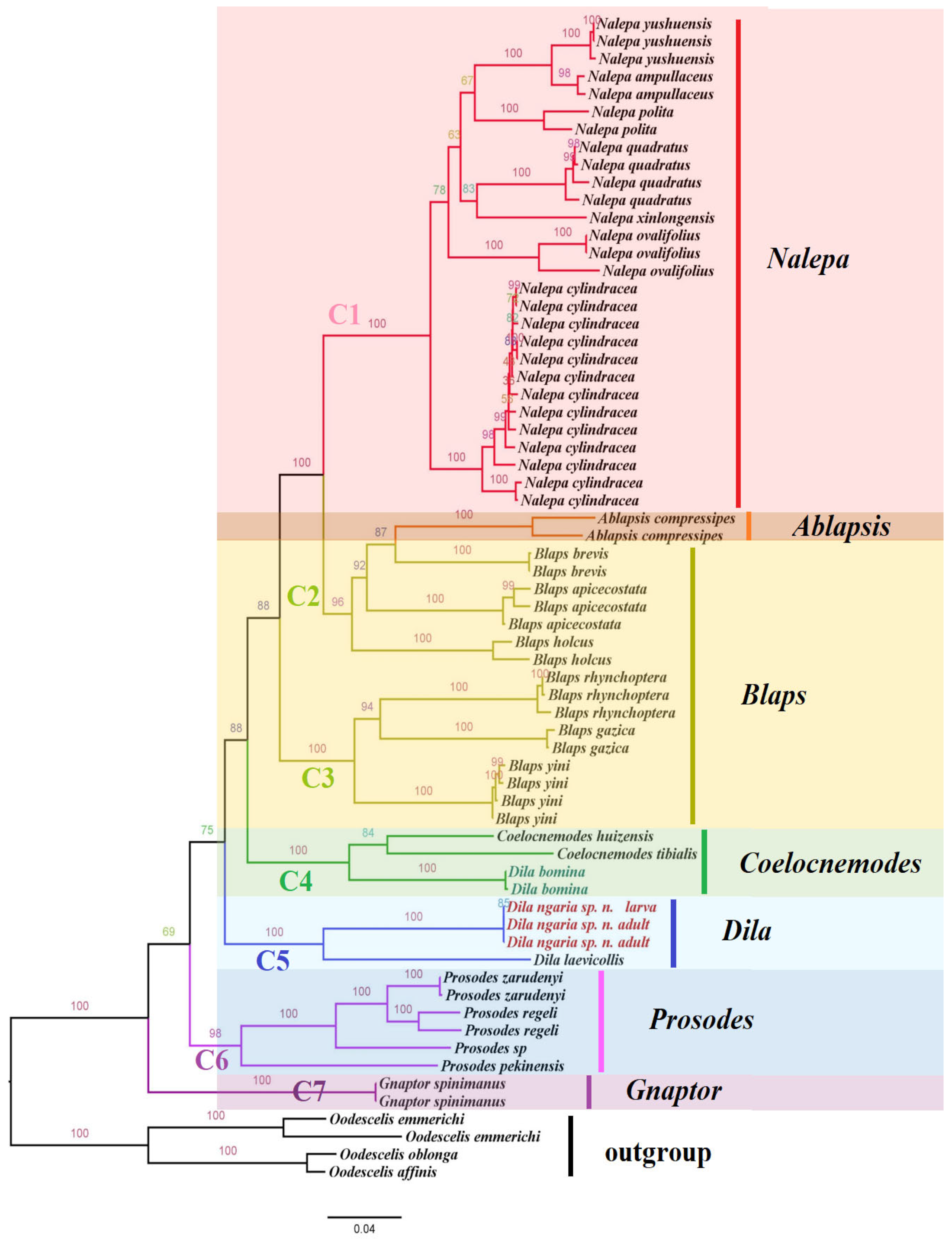 Insects 14 00284 g004