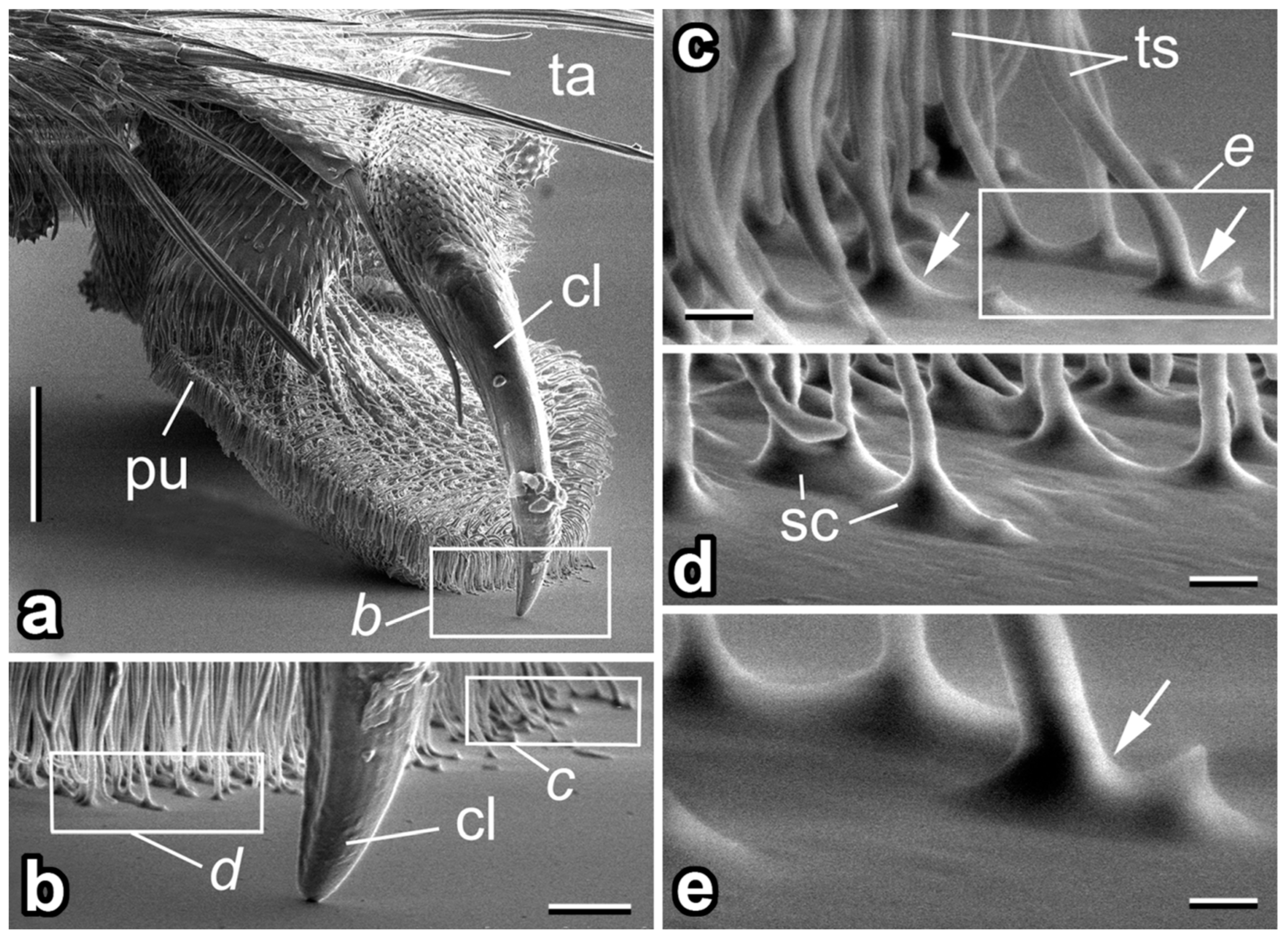 Insects 14 00285 g002