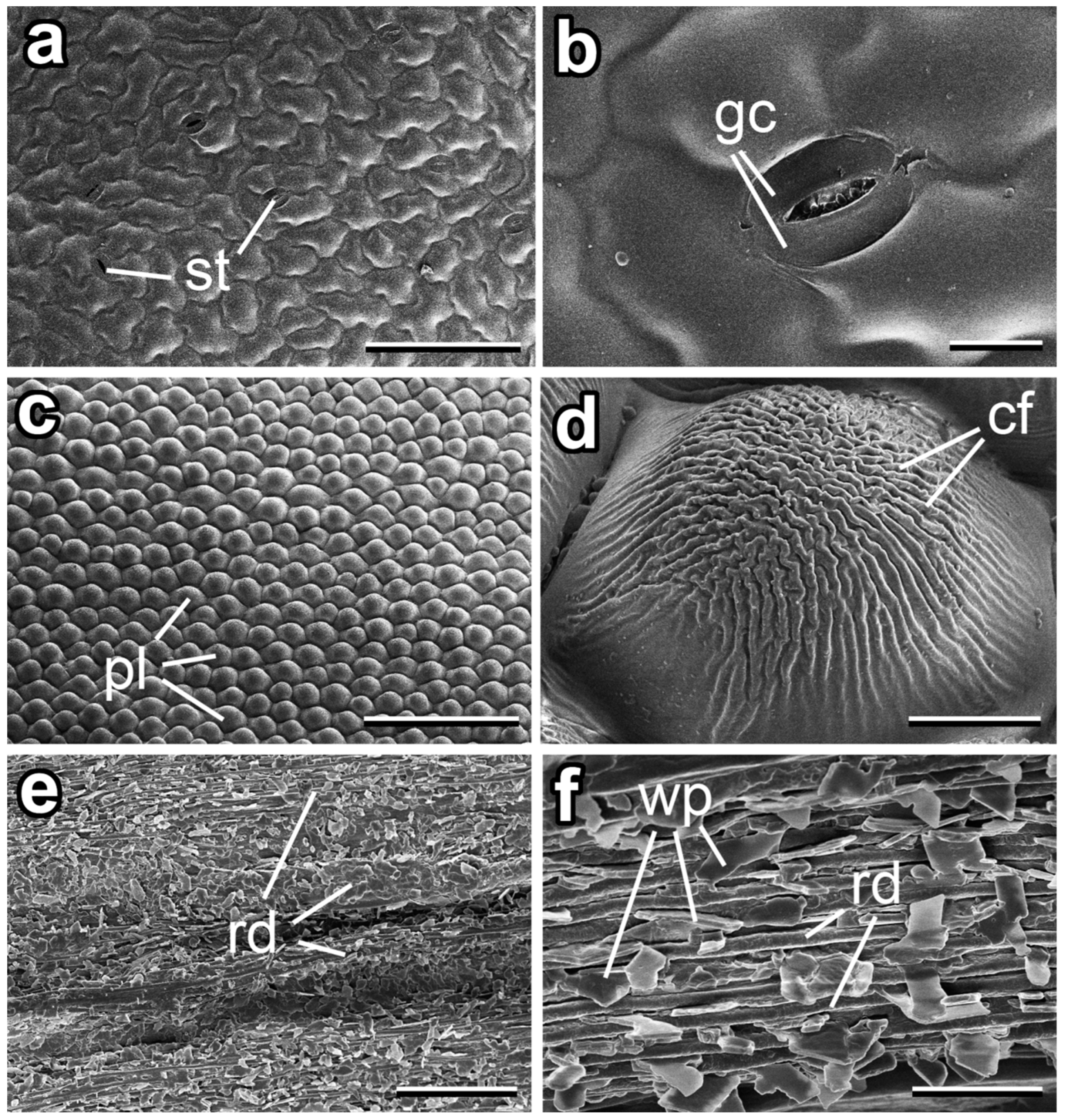 Insects 14 00285 g003