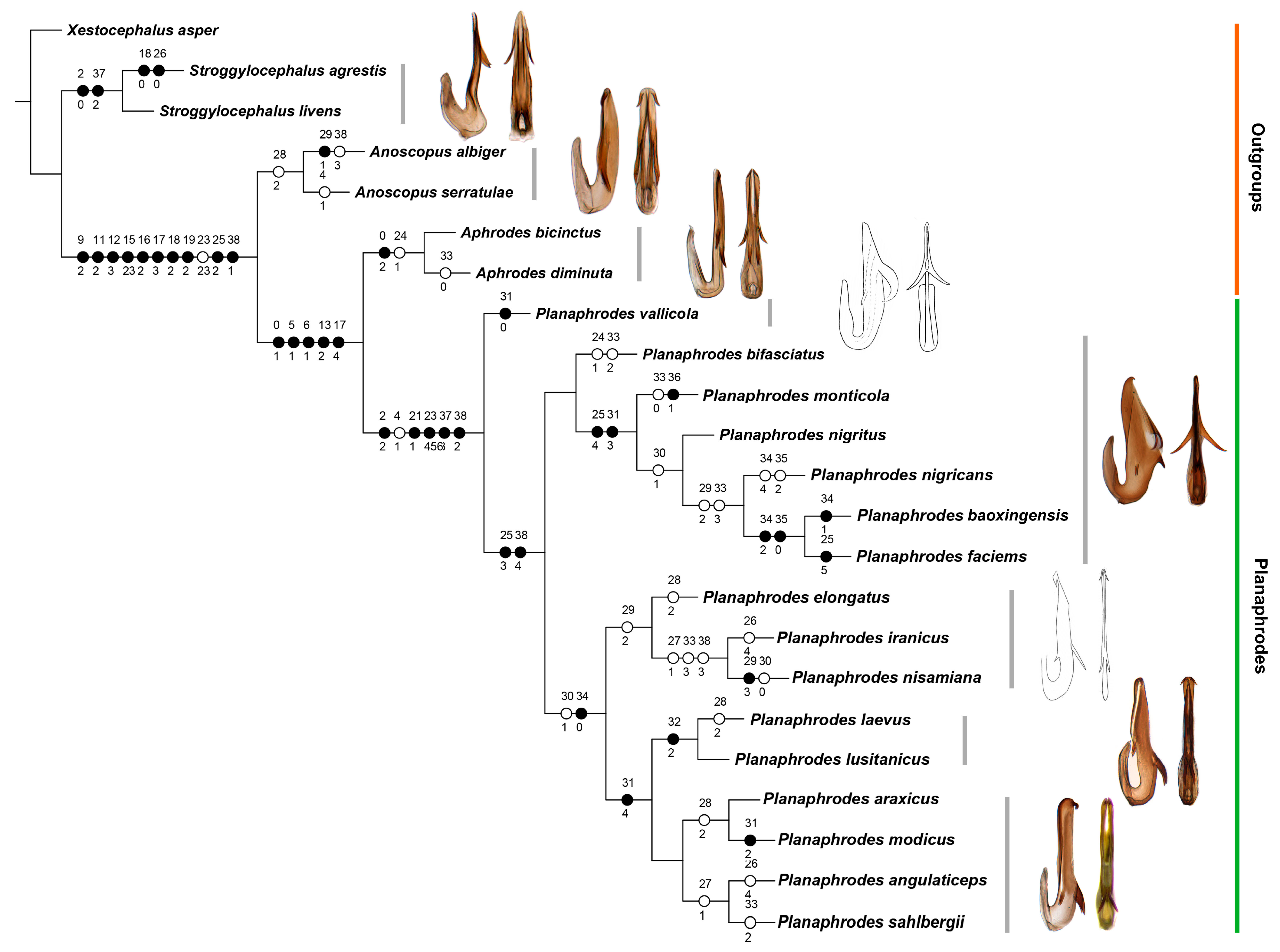 Insects 14 00291 g002 Insects 14 00291 g002