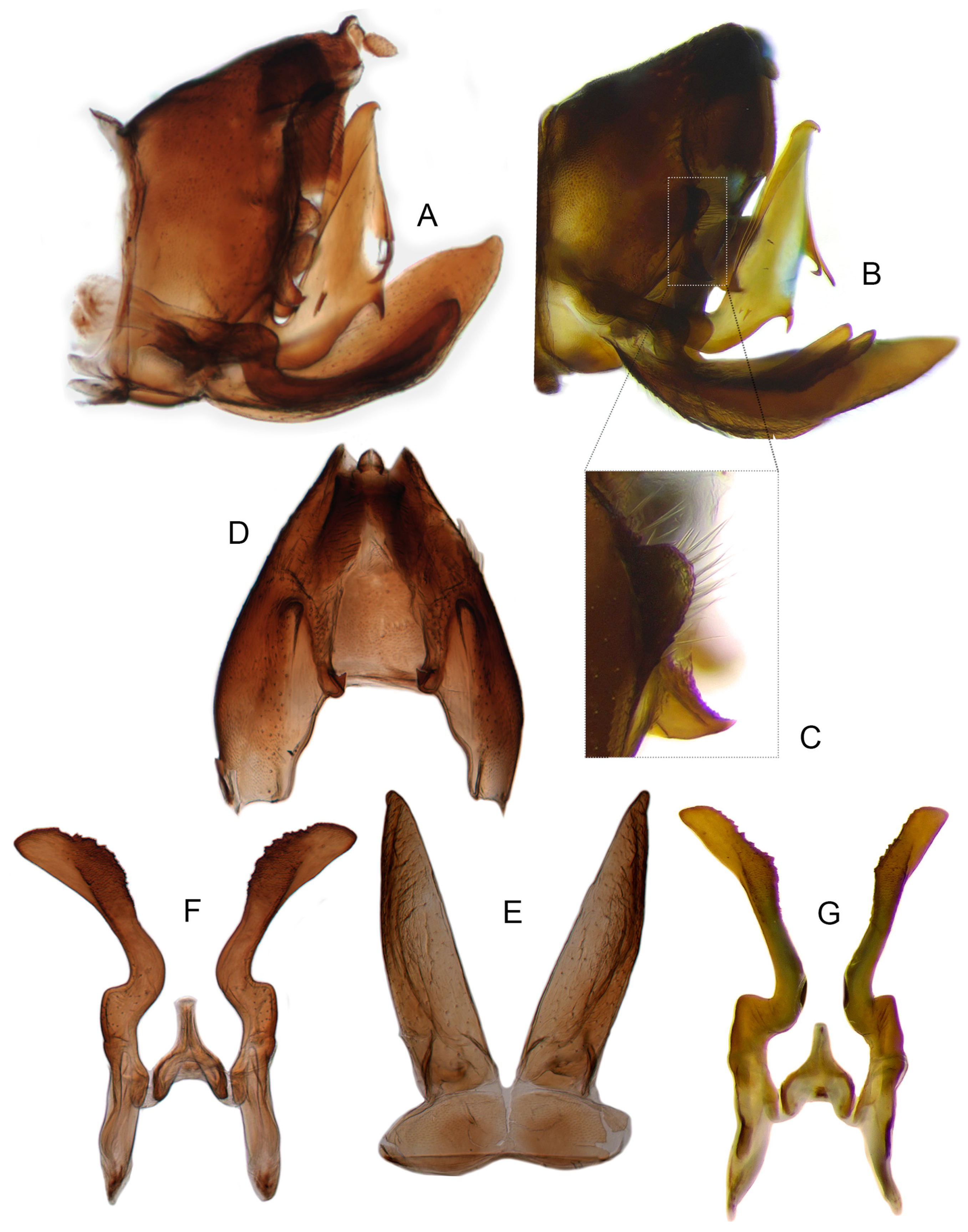 Insects 14 00291 g006 Insects 14 00291 g006