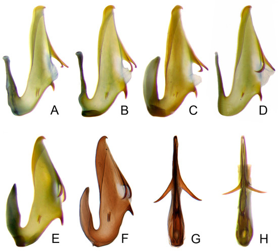 Insects 14 00291 g007