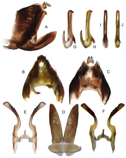 Insects 14 00291 g009