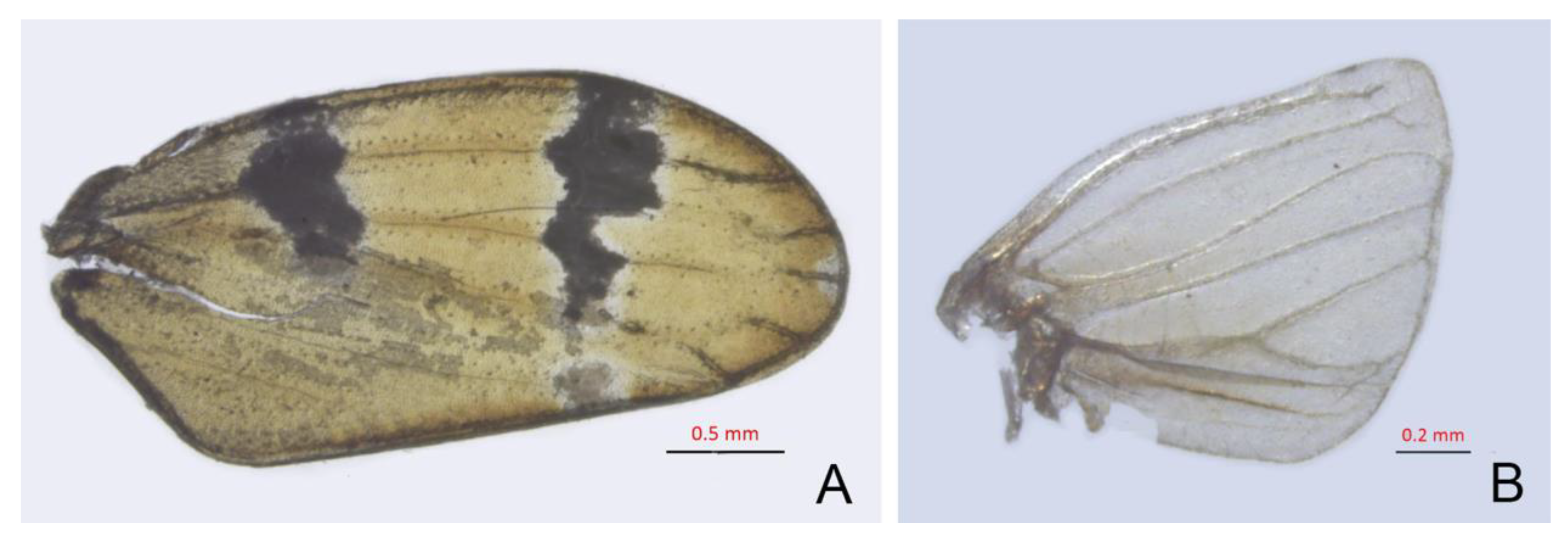 Insects 14 00291 g011 Insects 14 00291 g011