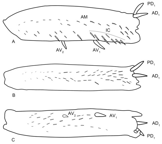 Insects 14 00291 g012