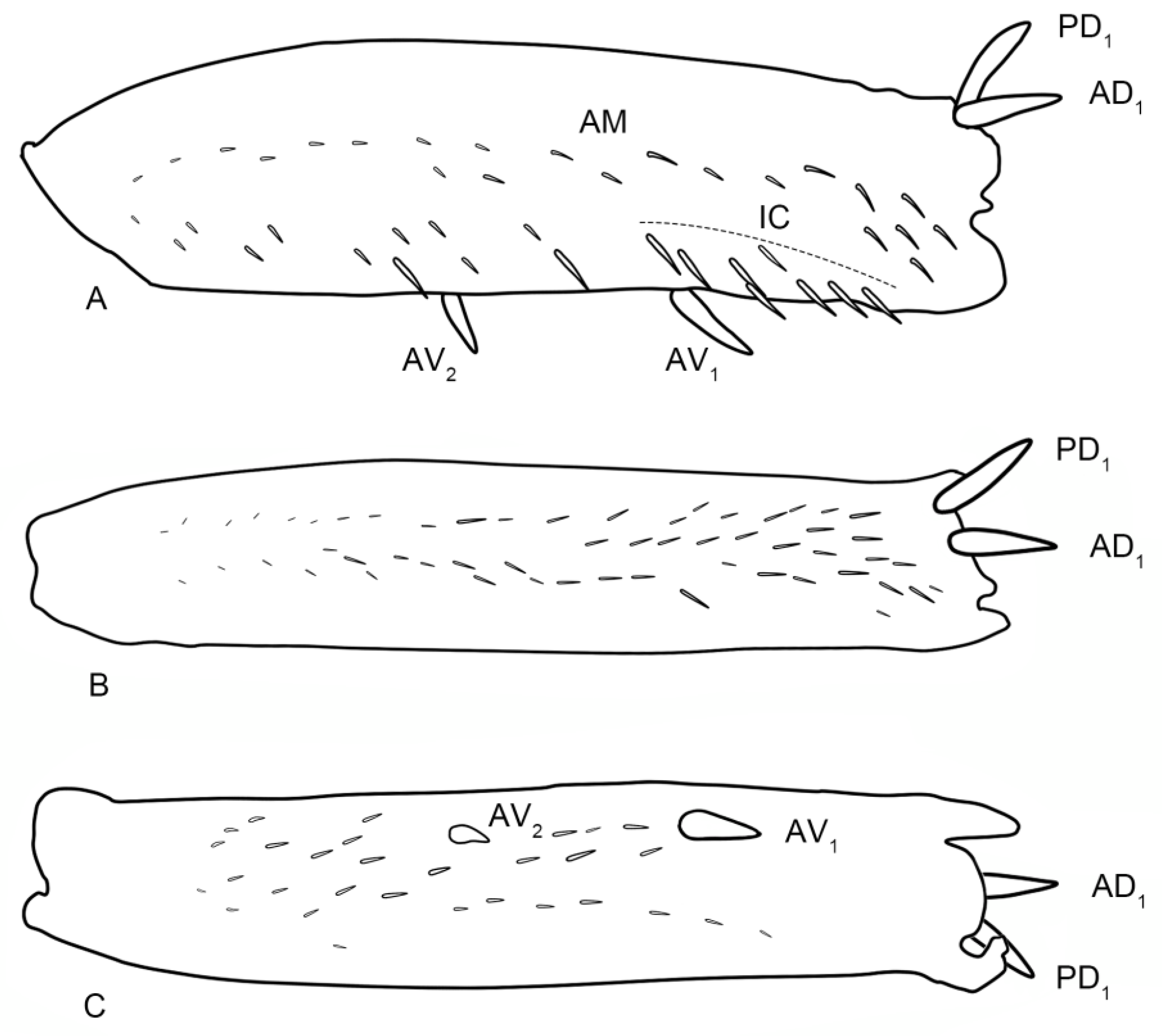 Insects 14 00291 g012 Insects 14 00291 g012