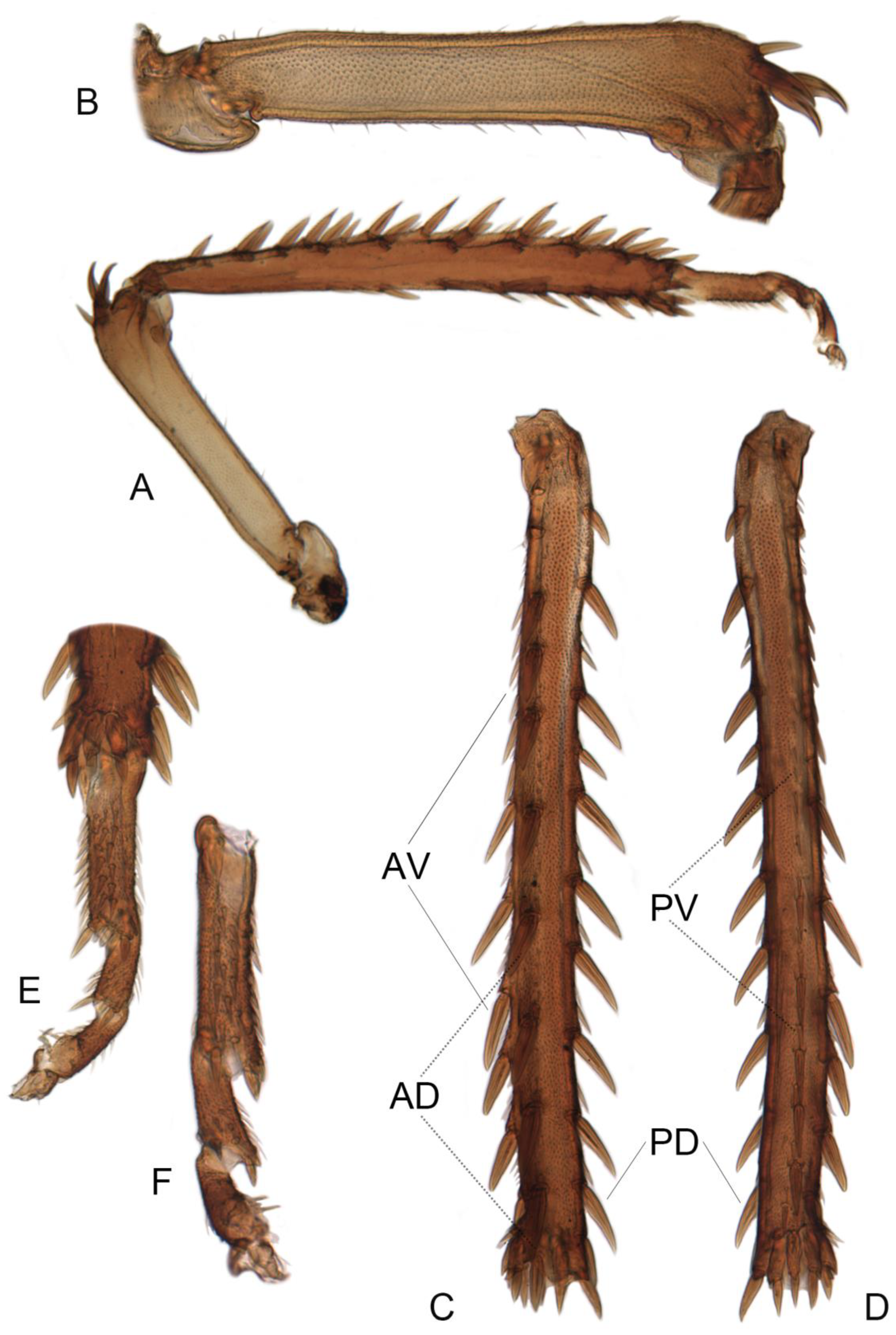 Insects 14 00291 g013 Insects 14 00291 g013