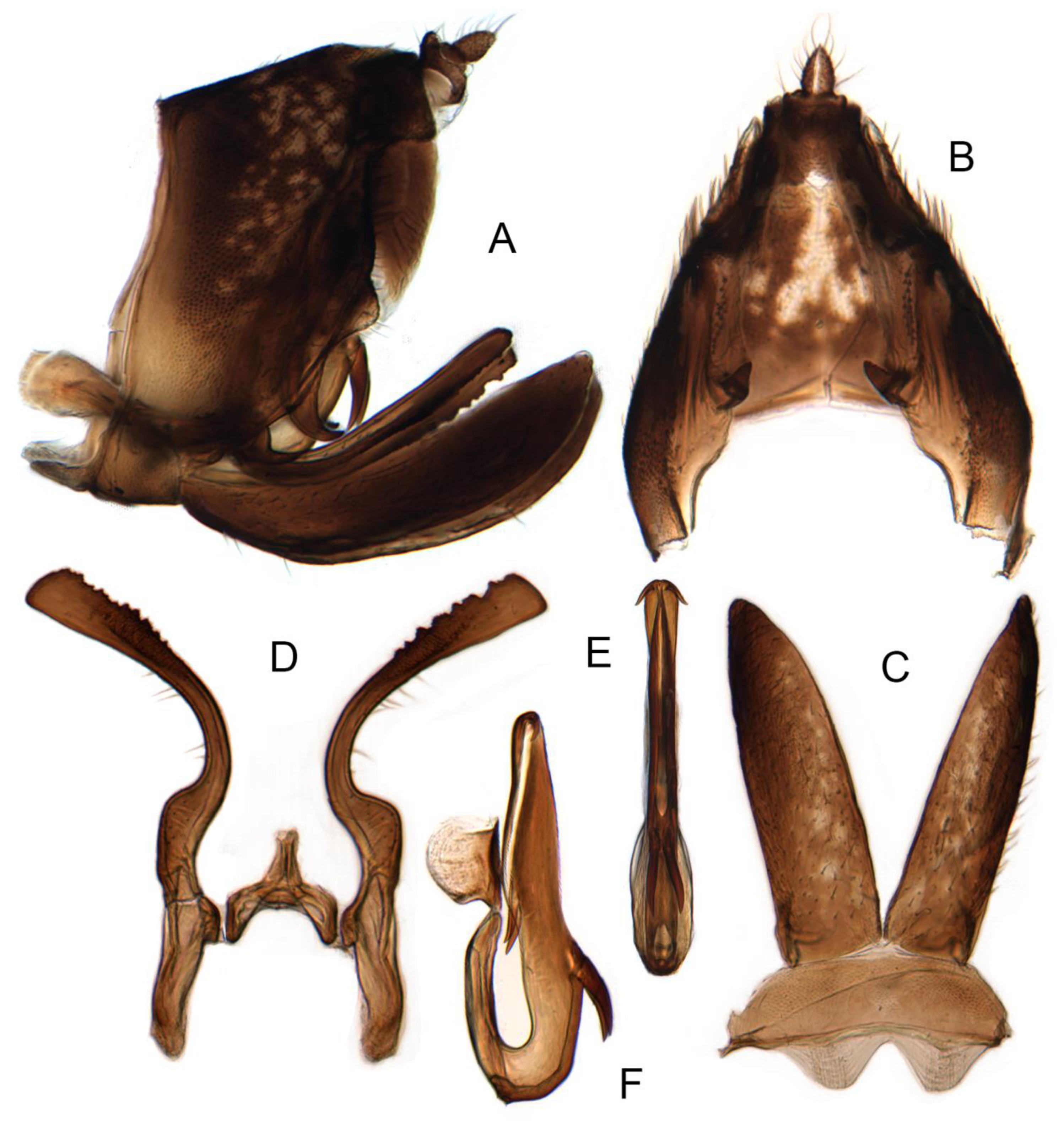 Insects 14 00291 g014 Insects 14 00291 g014