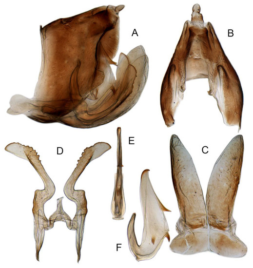 Insects 14 00291 g015