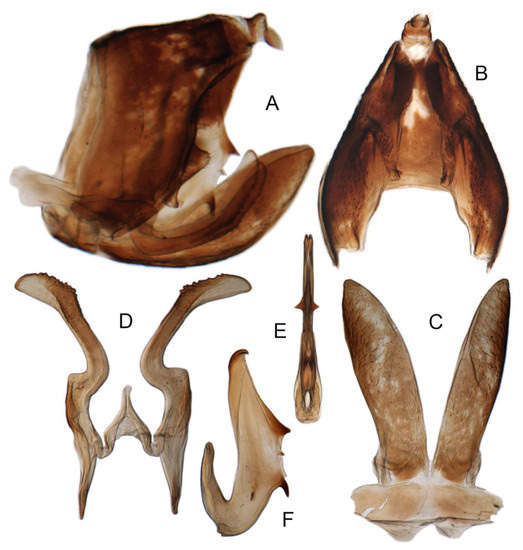 Insects 14 00291 g016