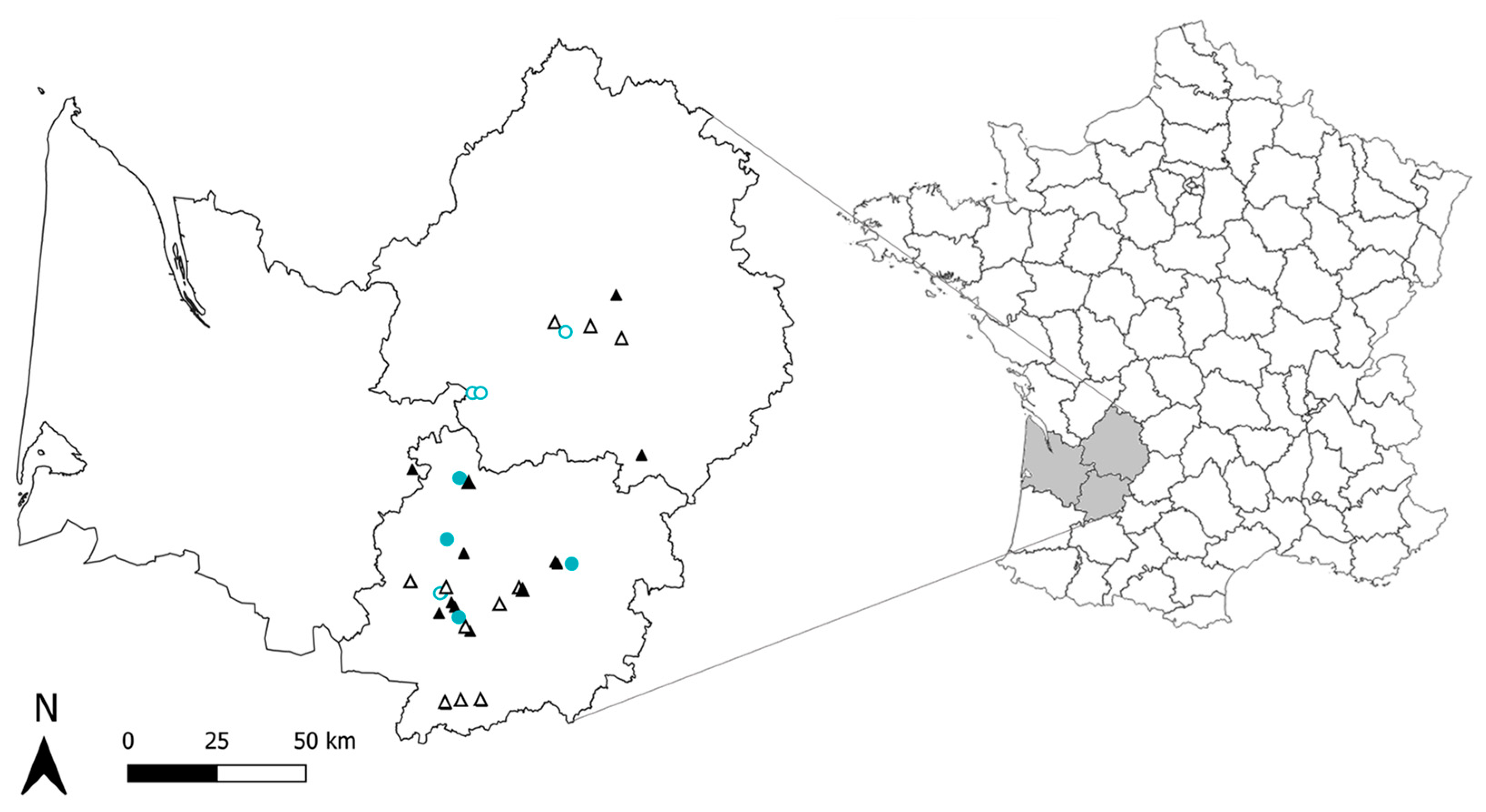 Insects 14 00302 g001