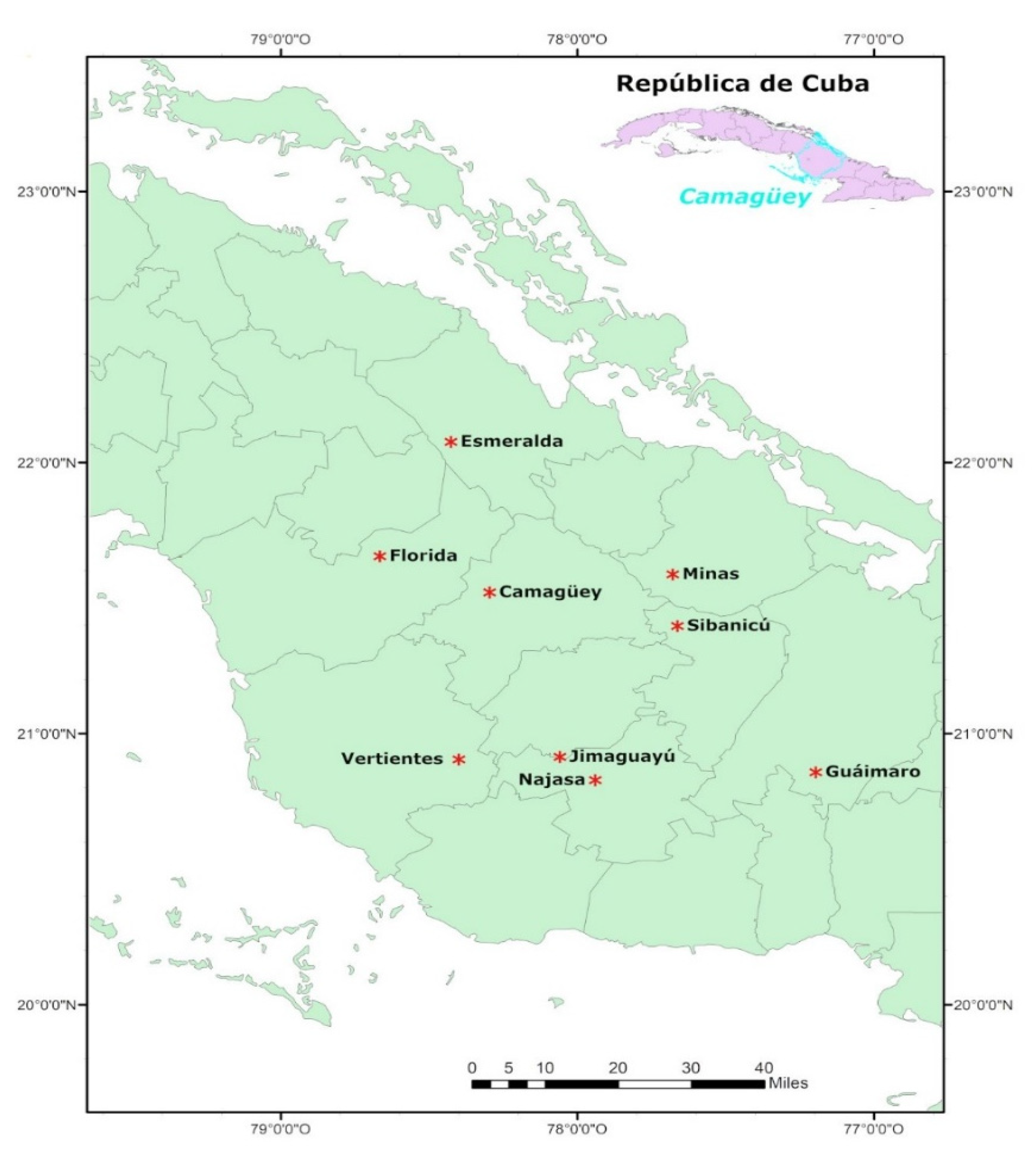 Insects 14 00306 g001