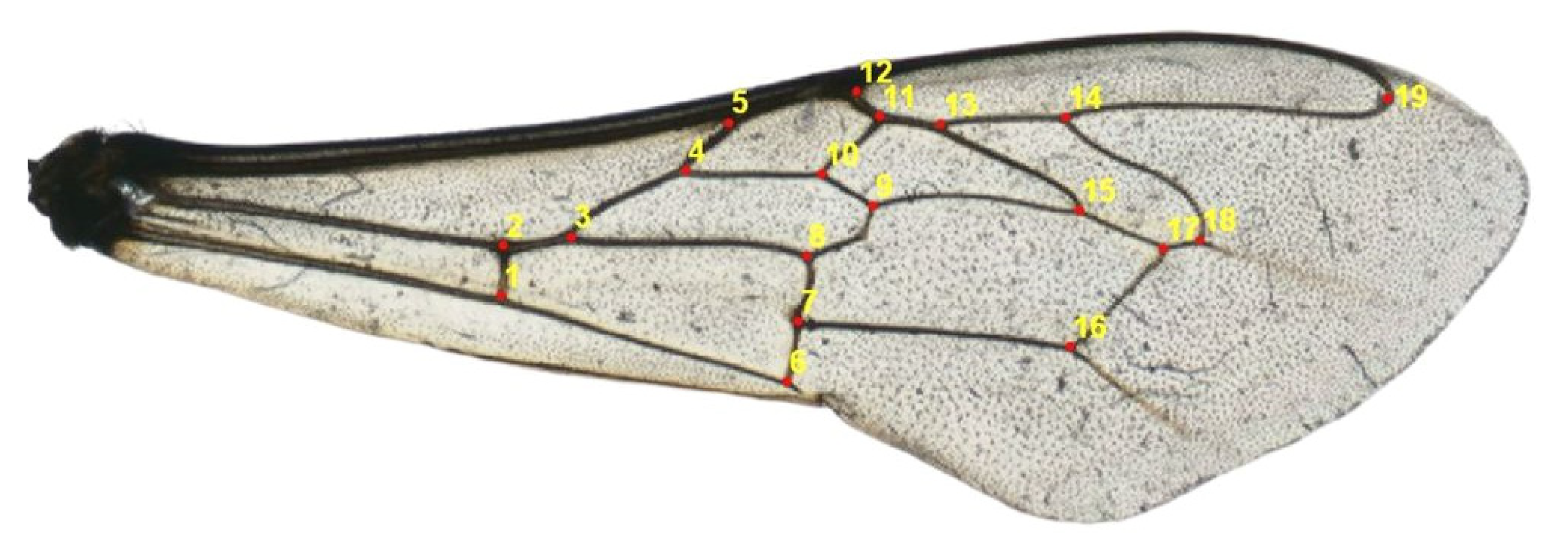 Insects 14 00306 g002