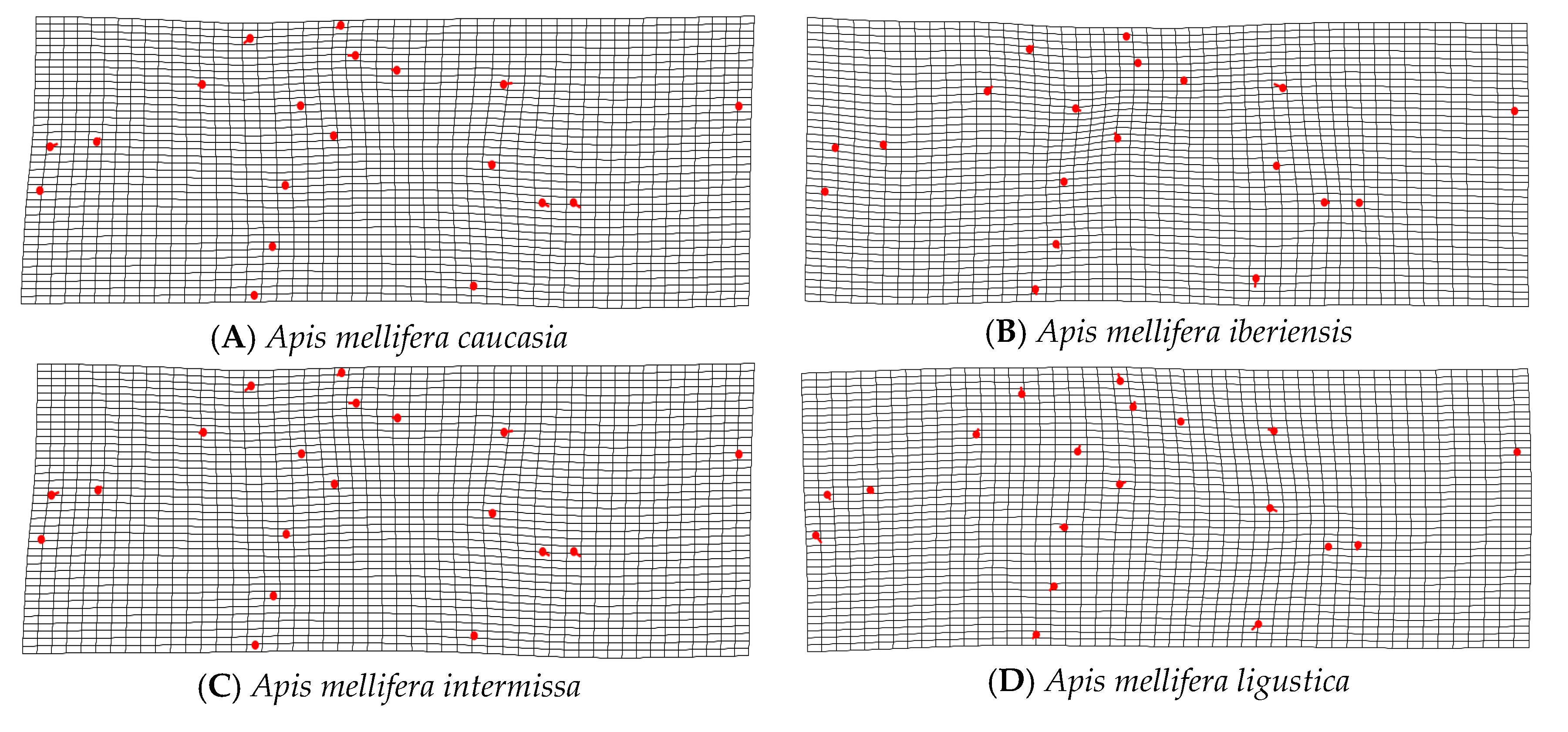 Insects 14 00306 g005a