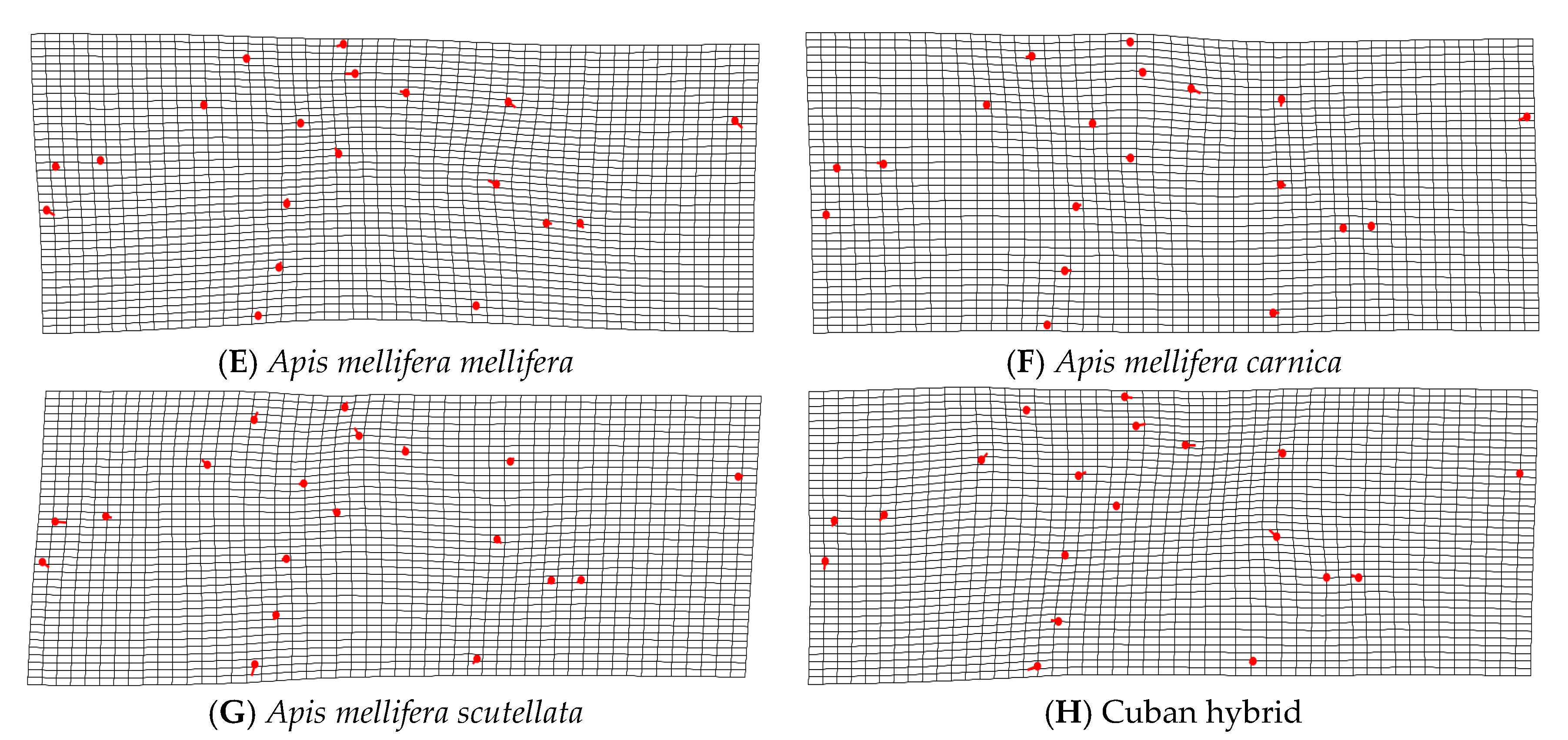 Insects 14 00306 g005b