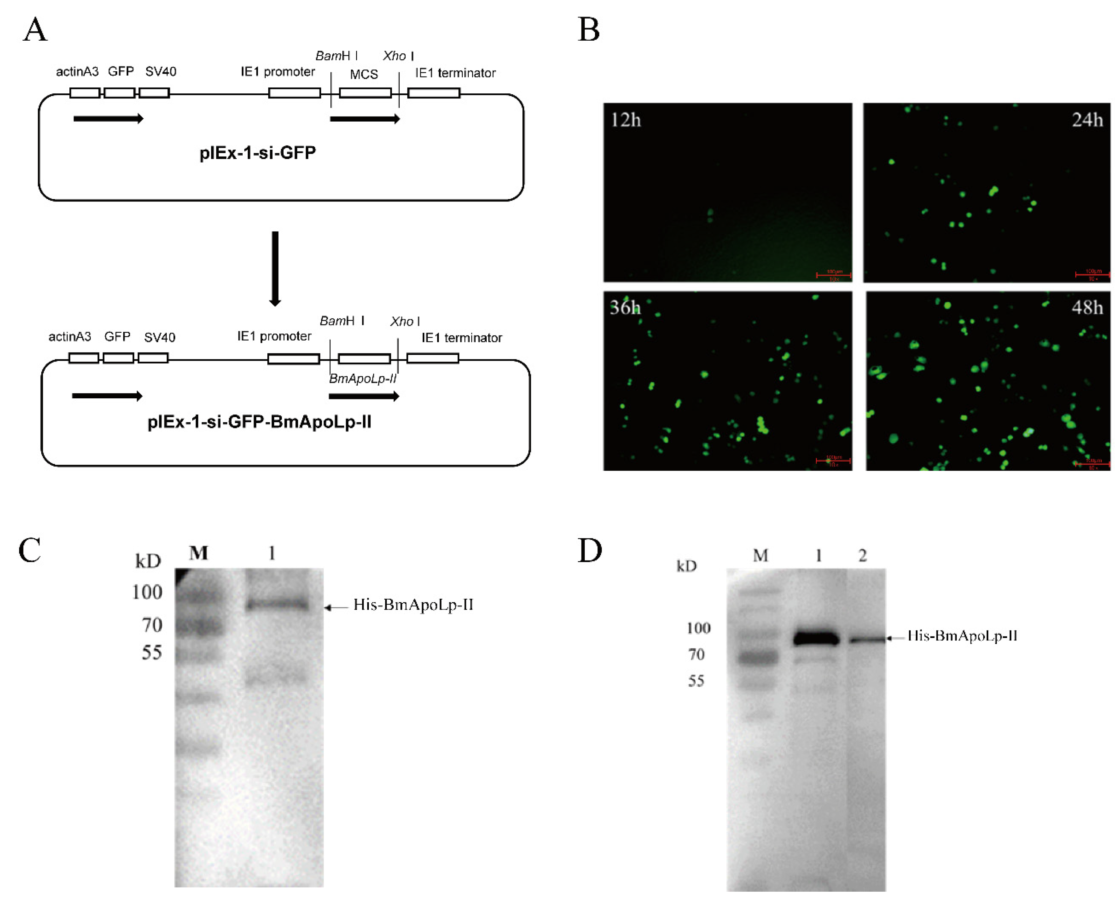 Insects 14 00309 g001 Insects 14 00309 g001