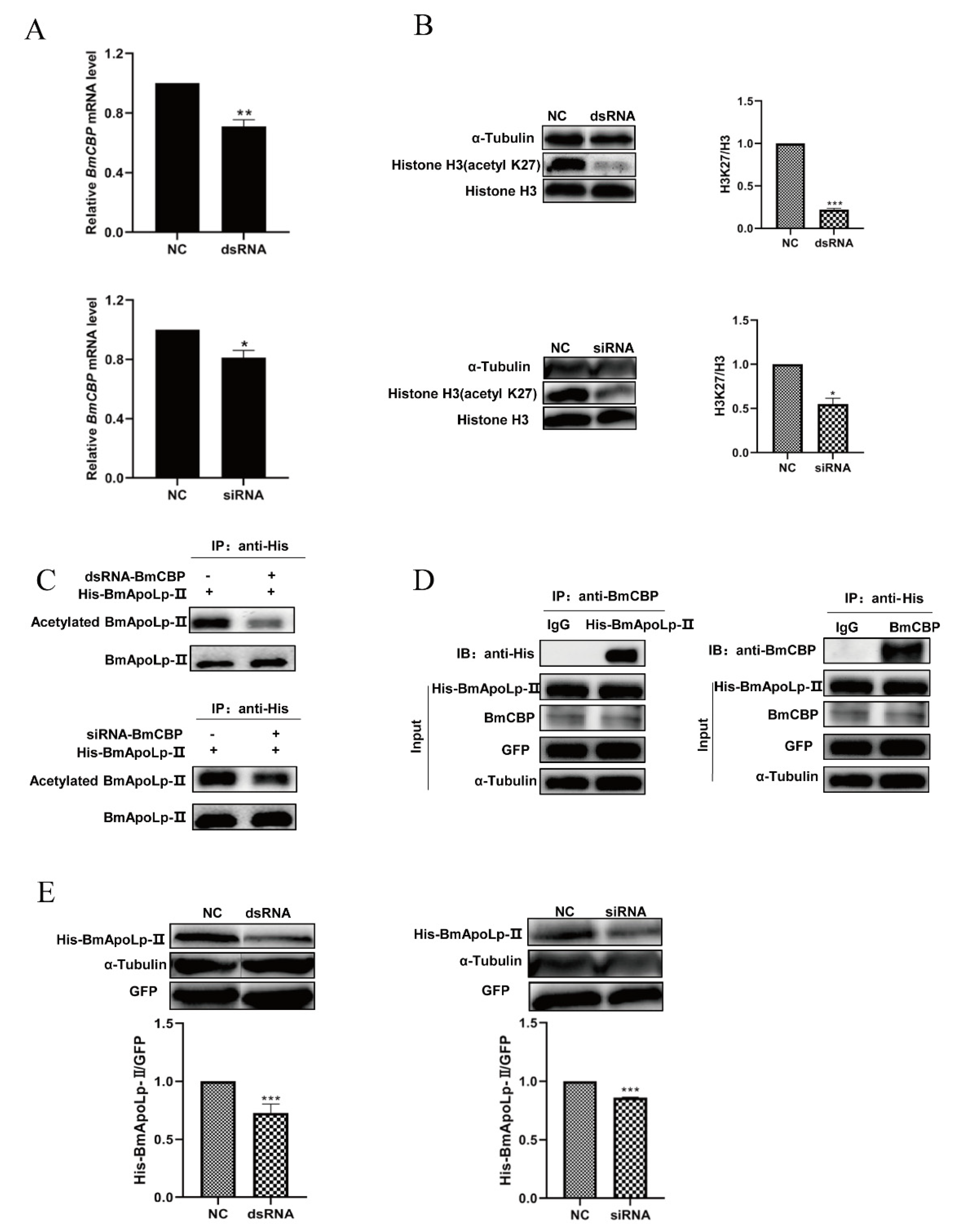 Insects 14 00309 g004 Insects 14 00309 g004