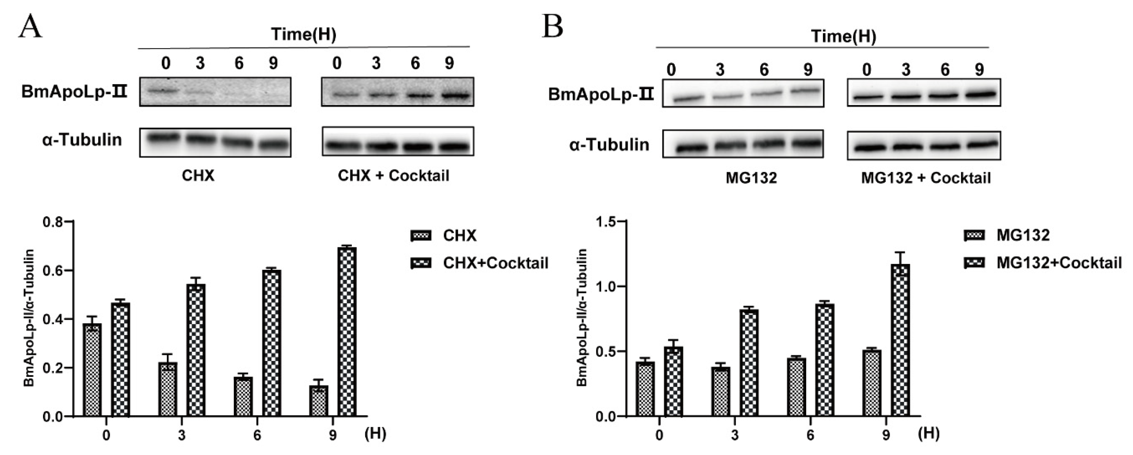 Insects 14 00309 g005 Insects 14 00309 g005