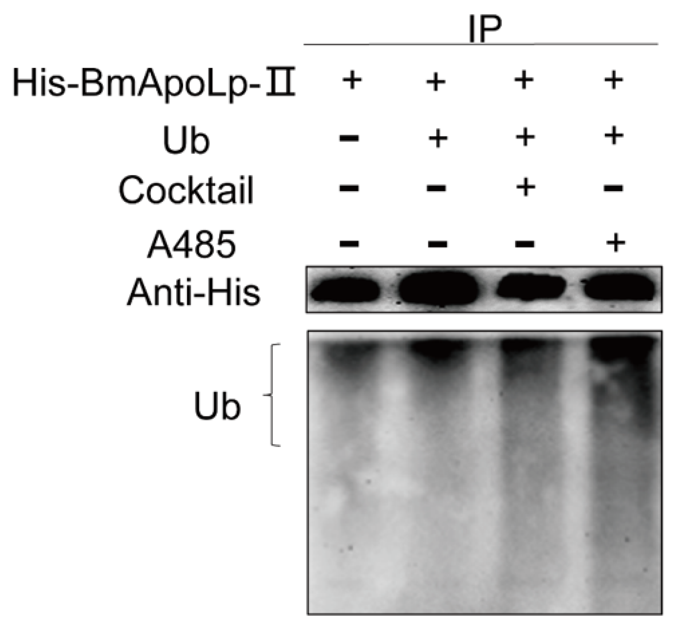 Insects 14 00309 g006 Insects 14 00309 g006