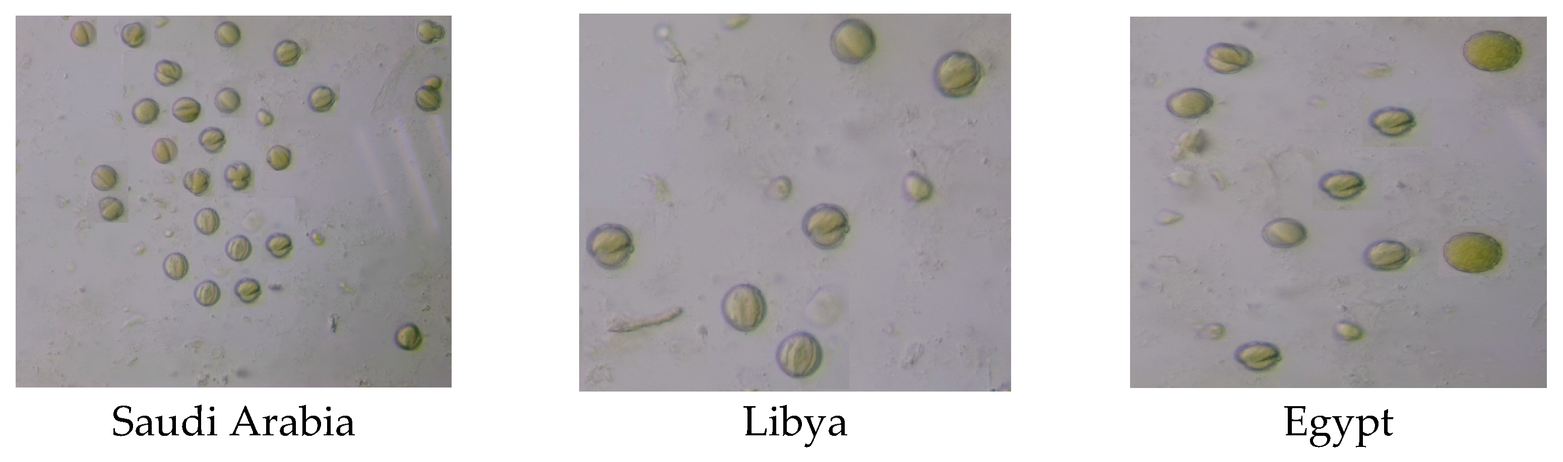 Insects 14 00319 g001