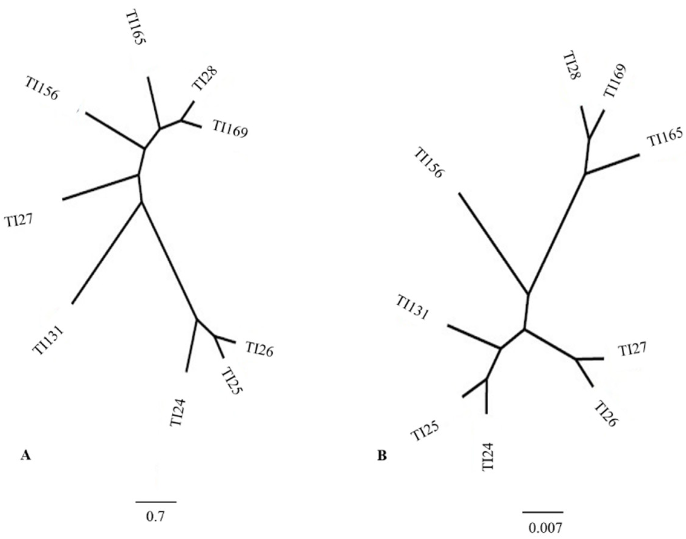 Insects 14 00325 g004