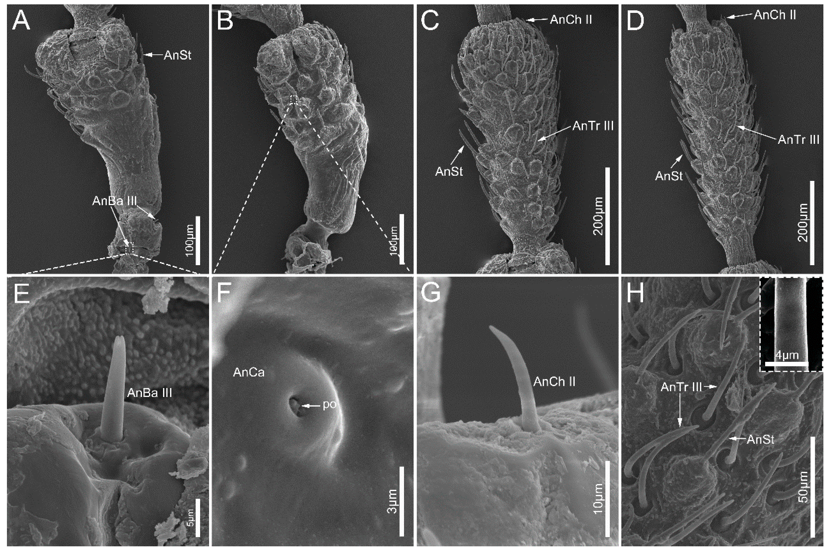 Insects 14 00333 g002