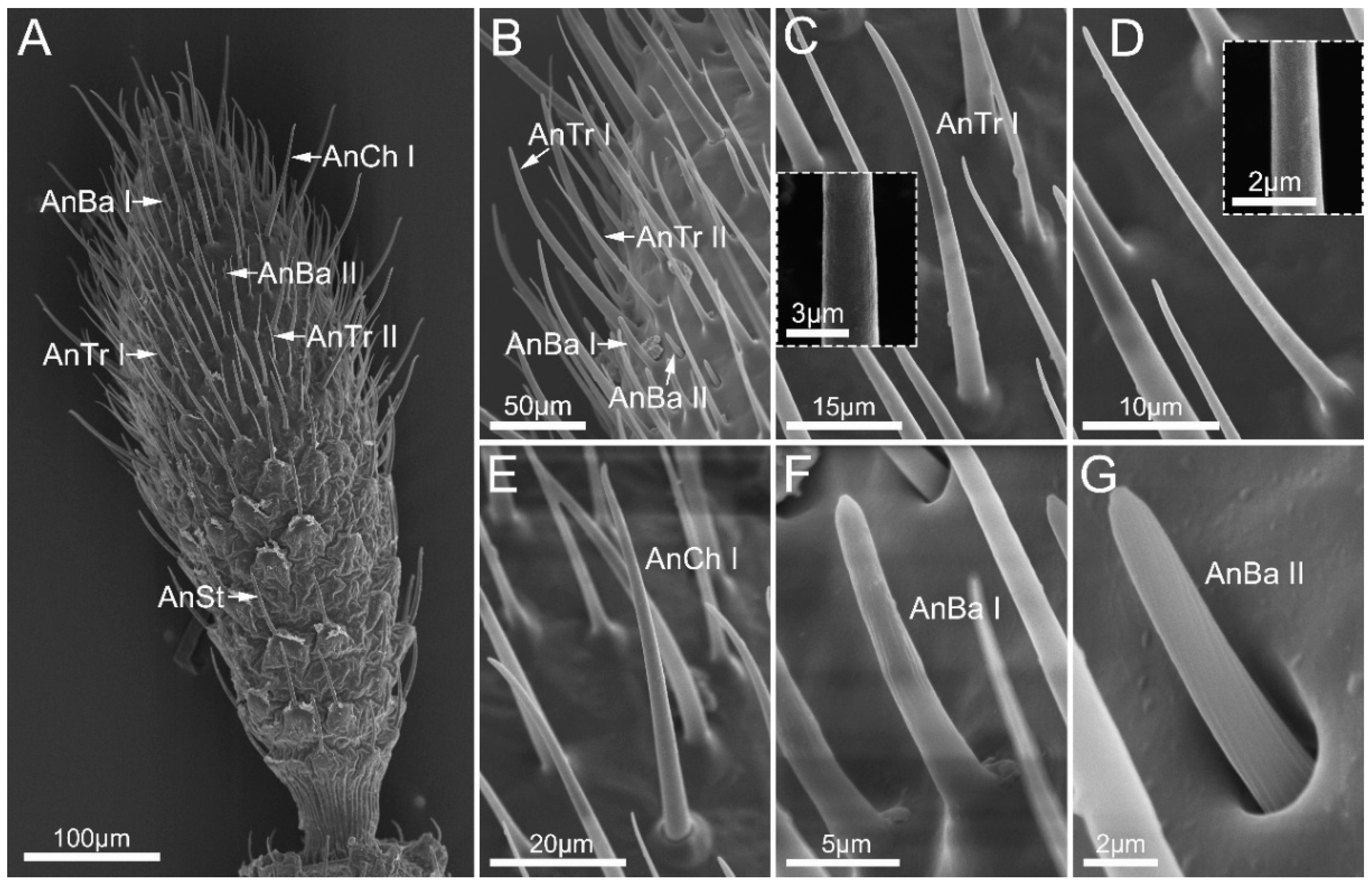 Insects 14 00333 g003