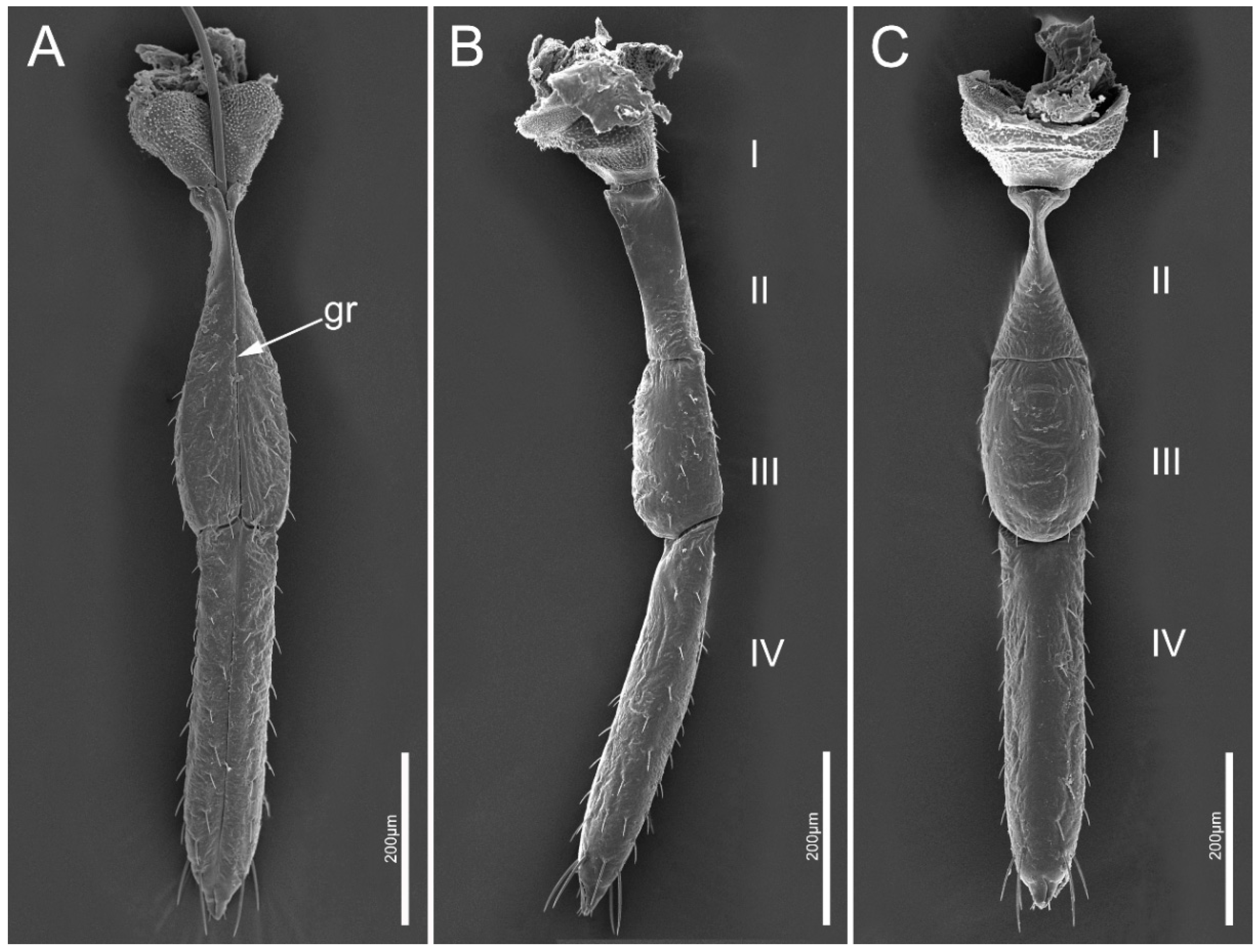 Insects 14 00333 g004