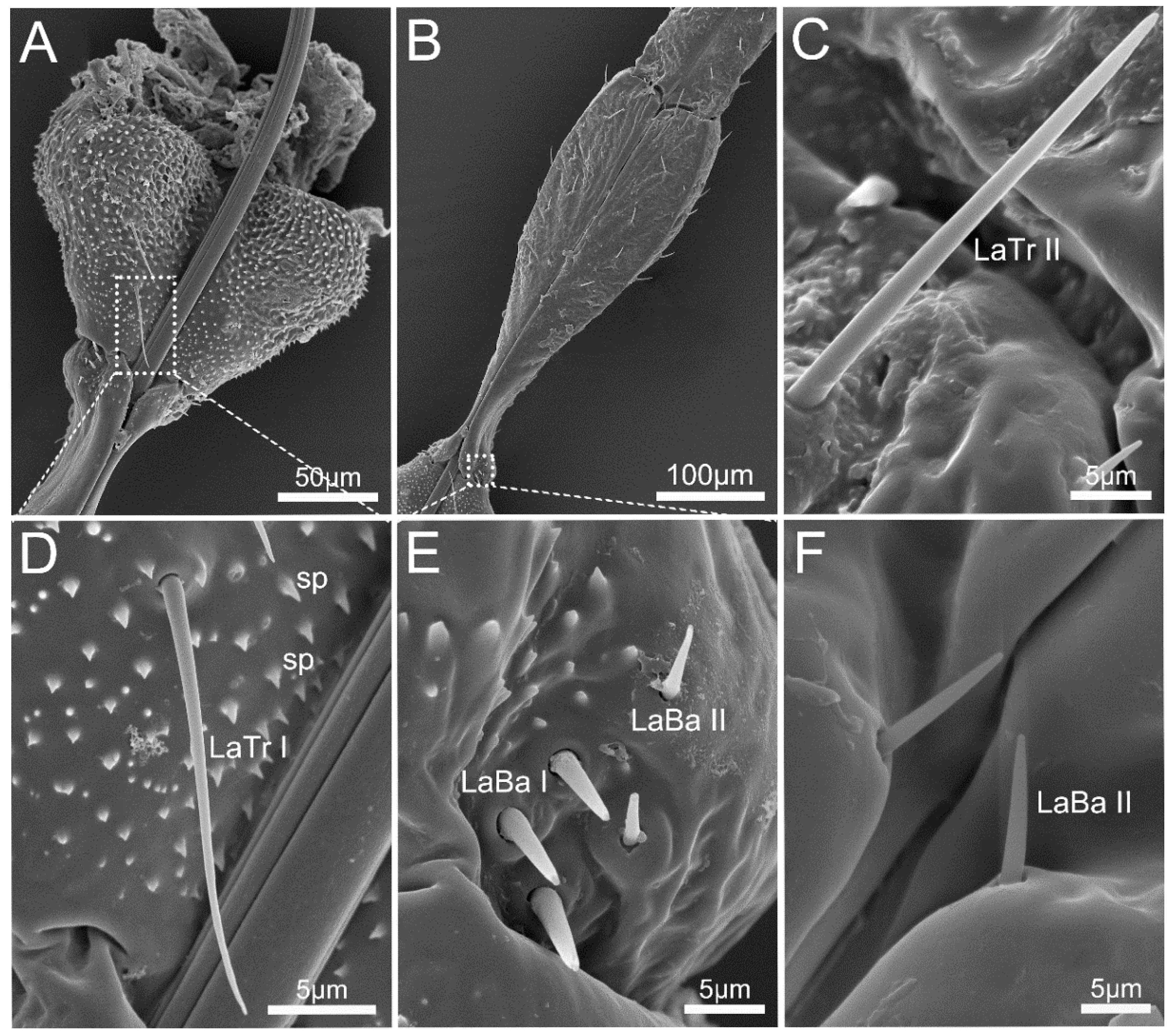Insects 14 00333 g005