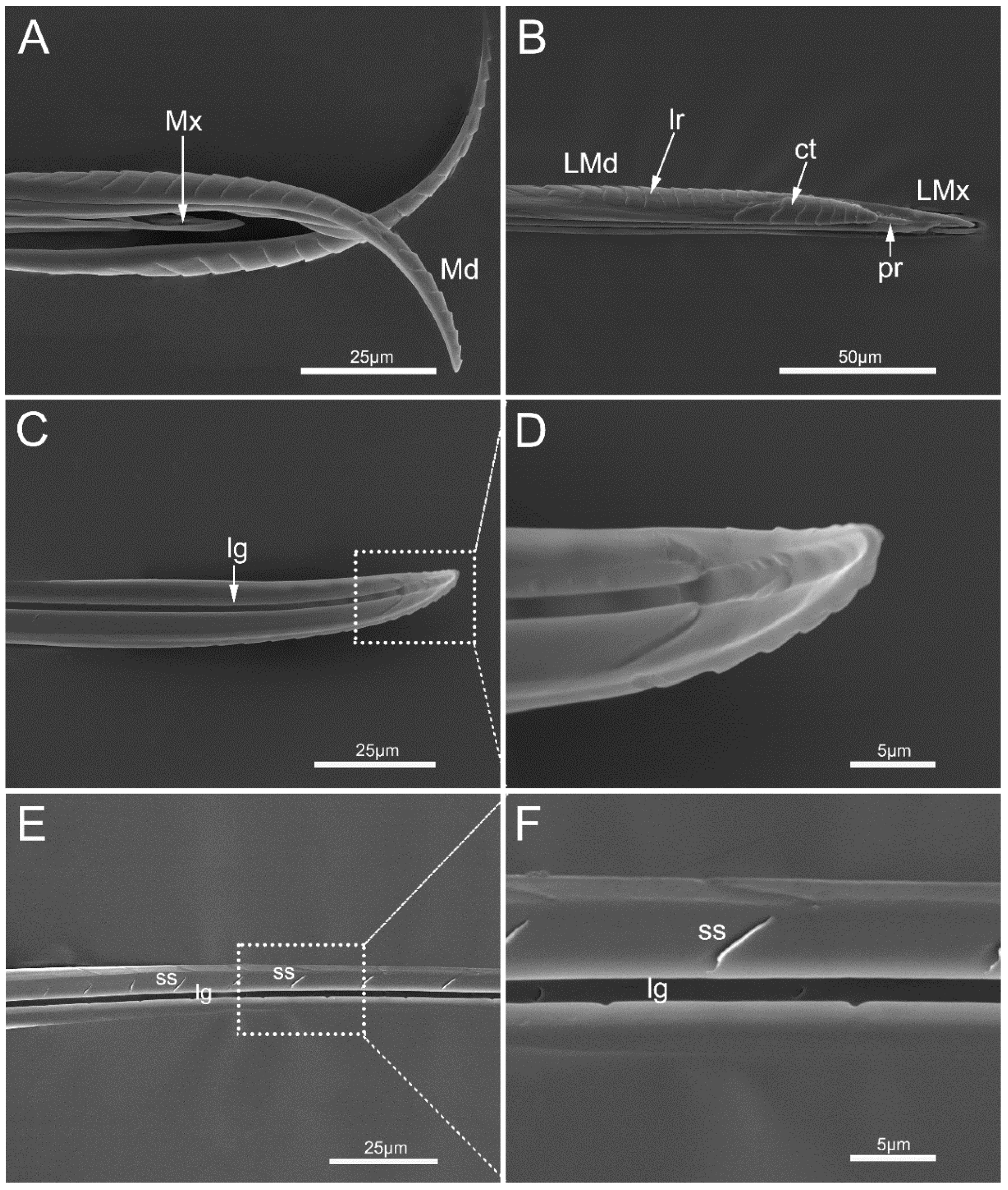 Insects 14 00333 g007