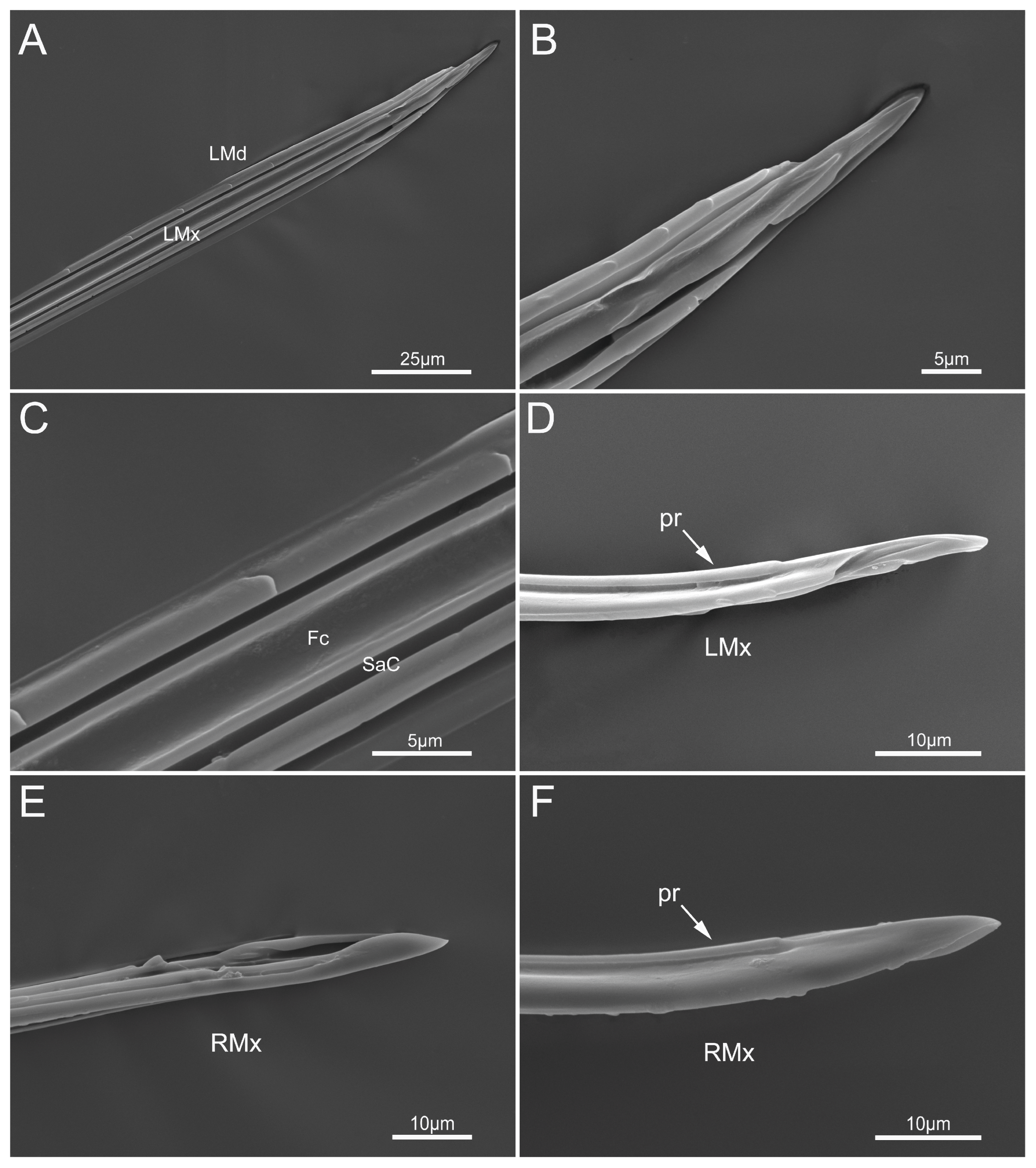 Insects 14 00333 g008