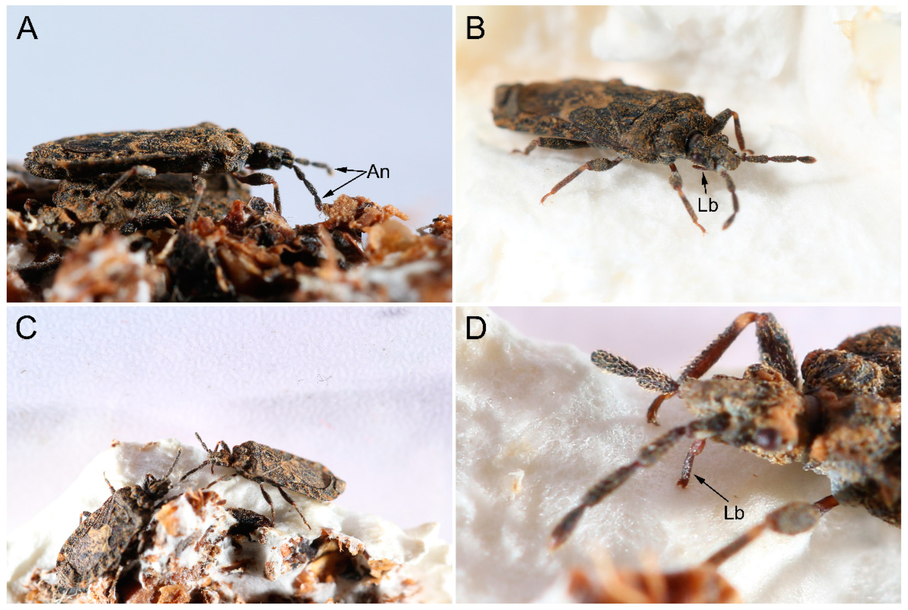 Insects 14 00333 g009