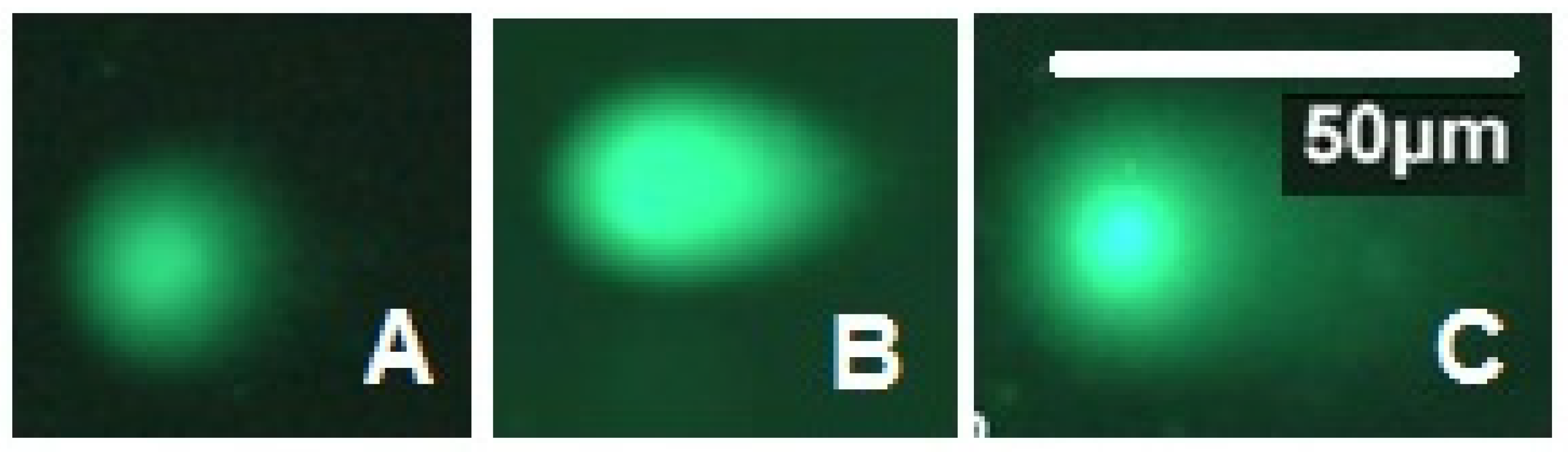 Insects 14 00344 g009