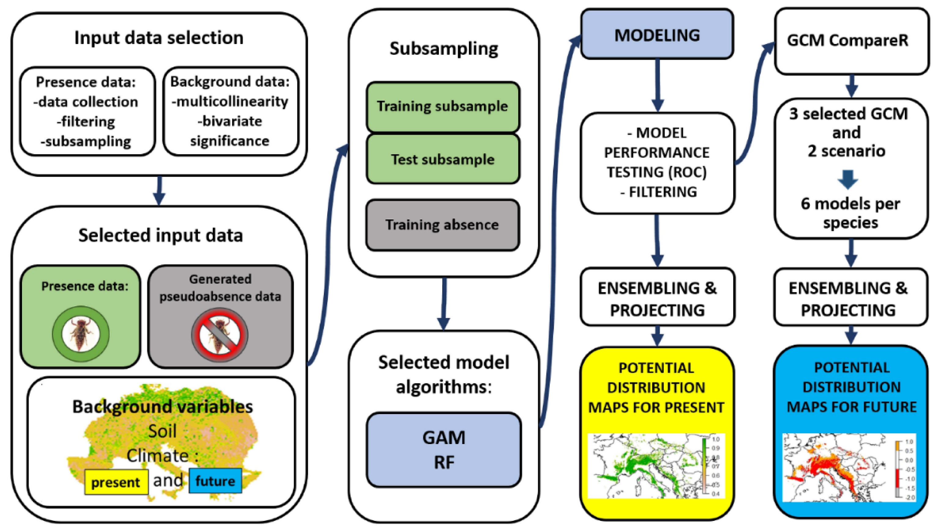 Insects 14 00348 g001
