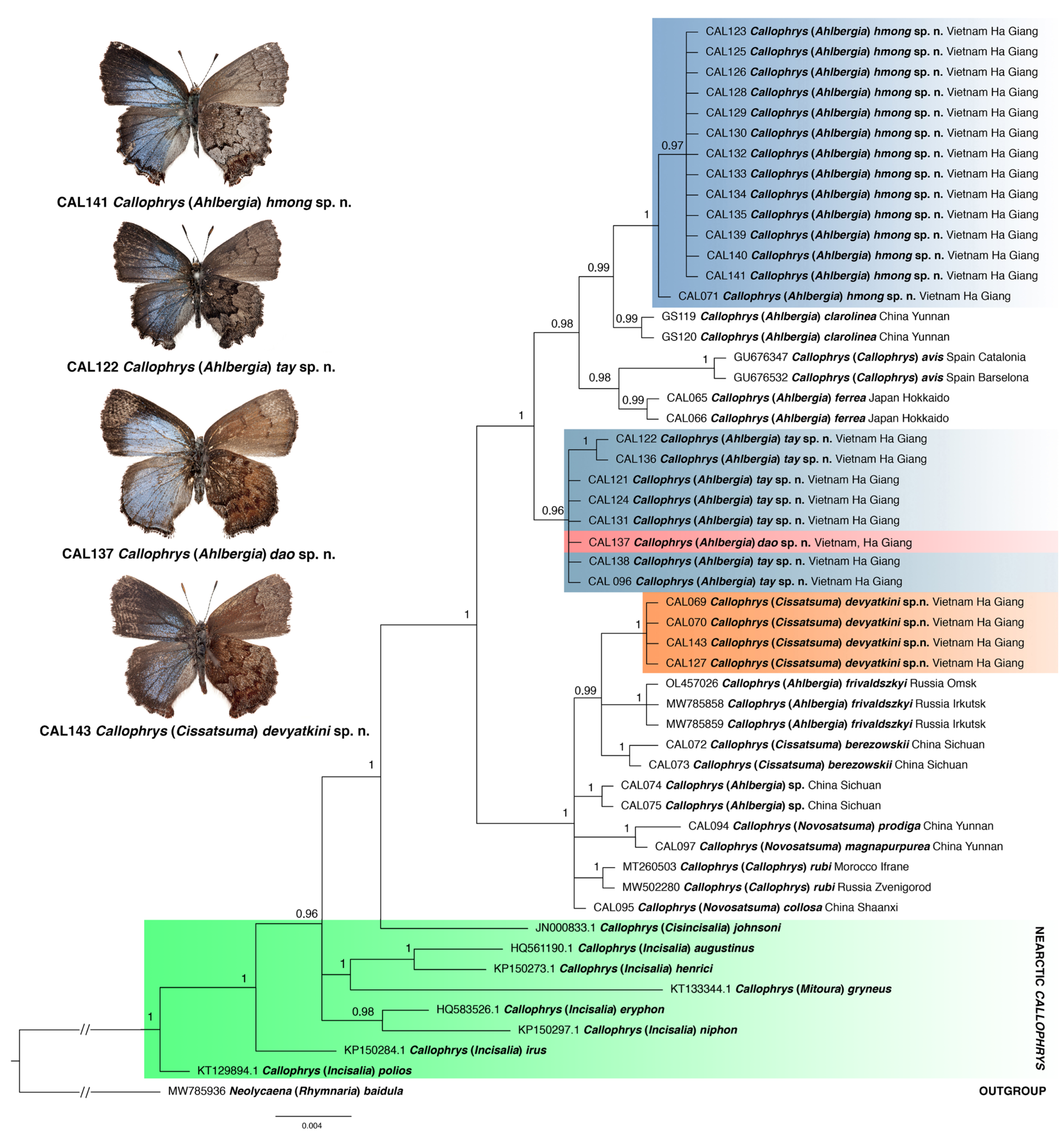 Insects 14 00352 g001