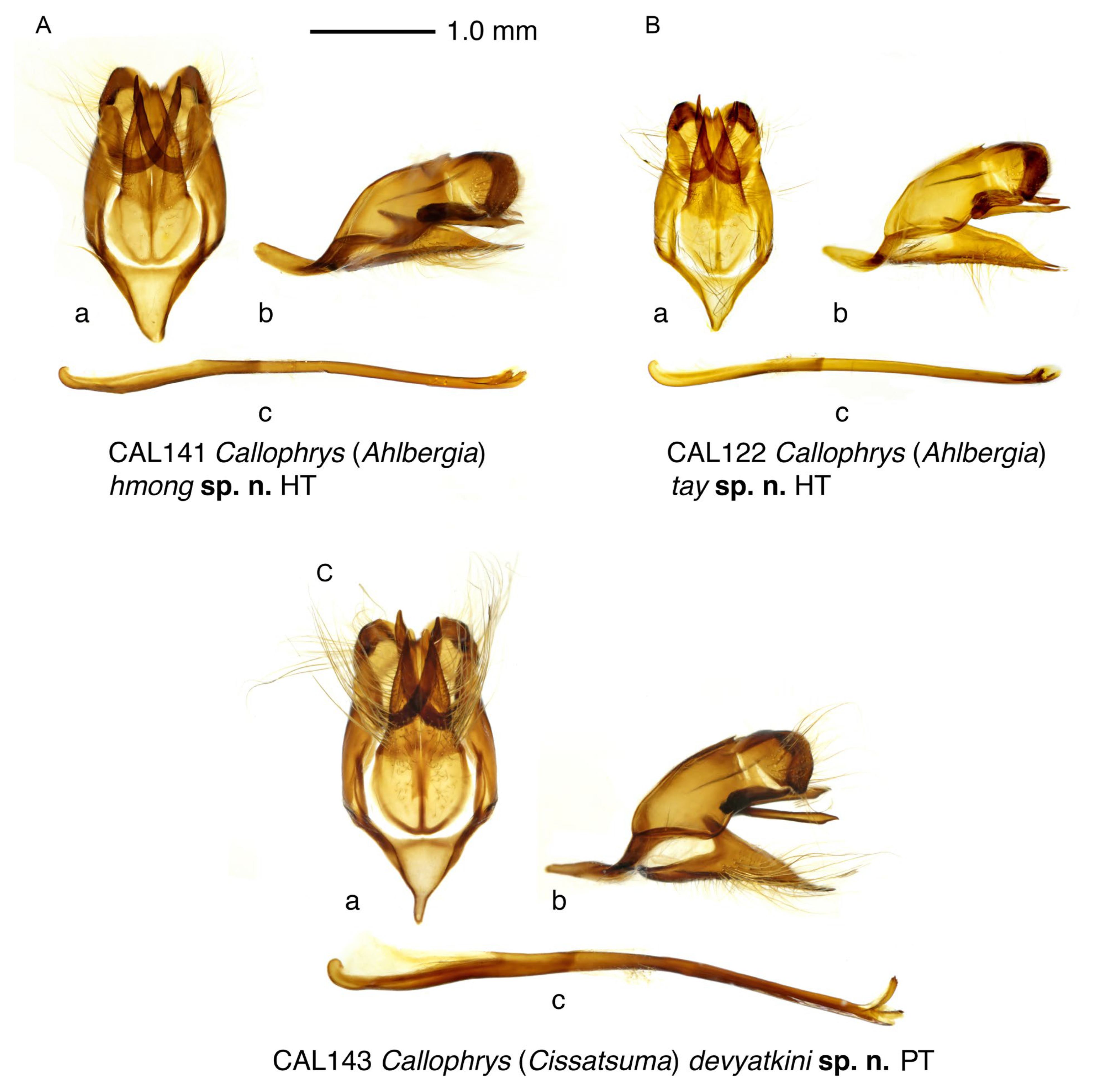Insects 14 00352 g003