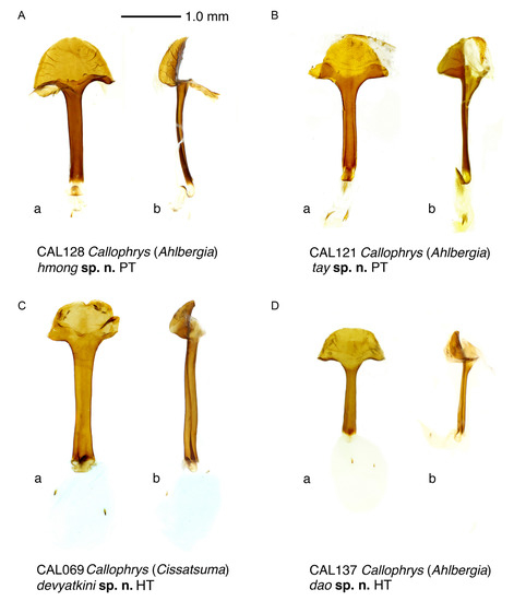 Insects 14 00352 g004