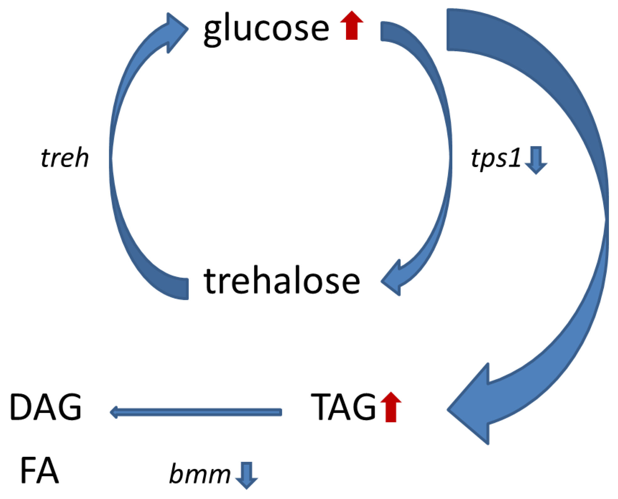 Insects 14 00357 g007