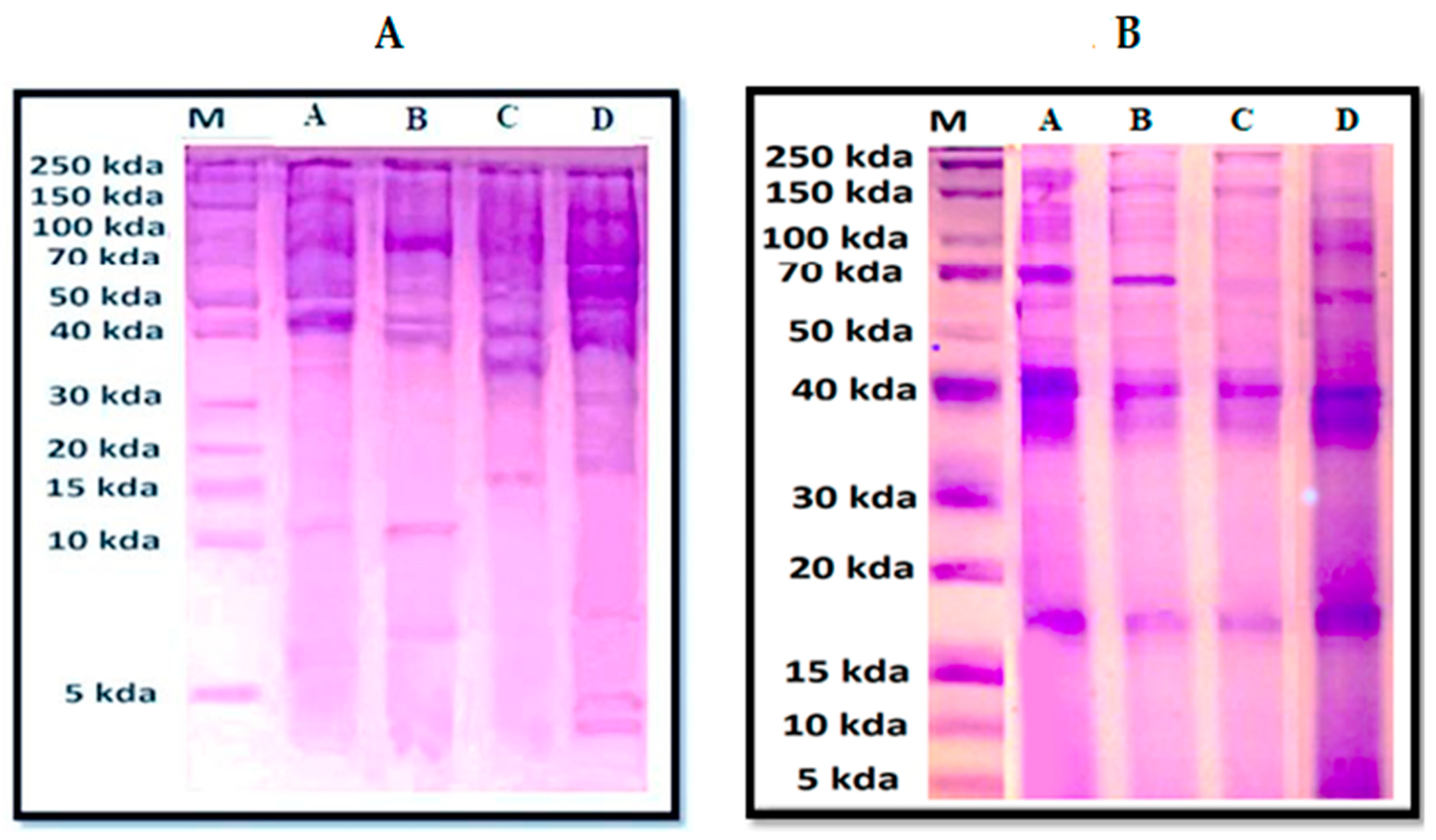 Insects 14 00365 g002