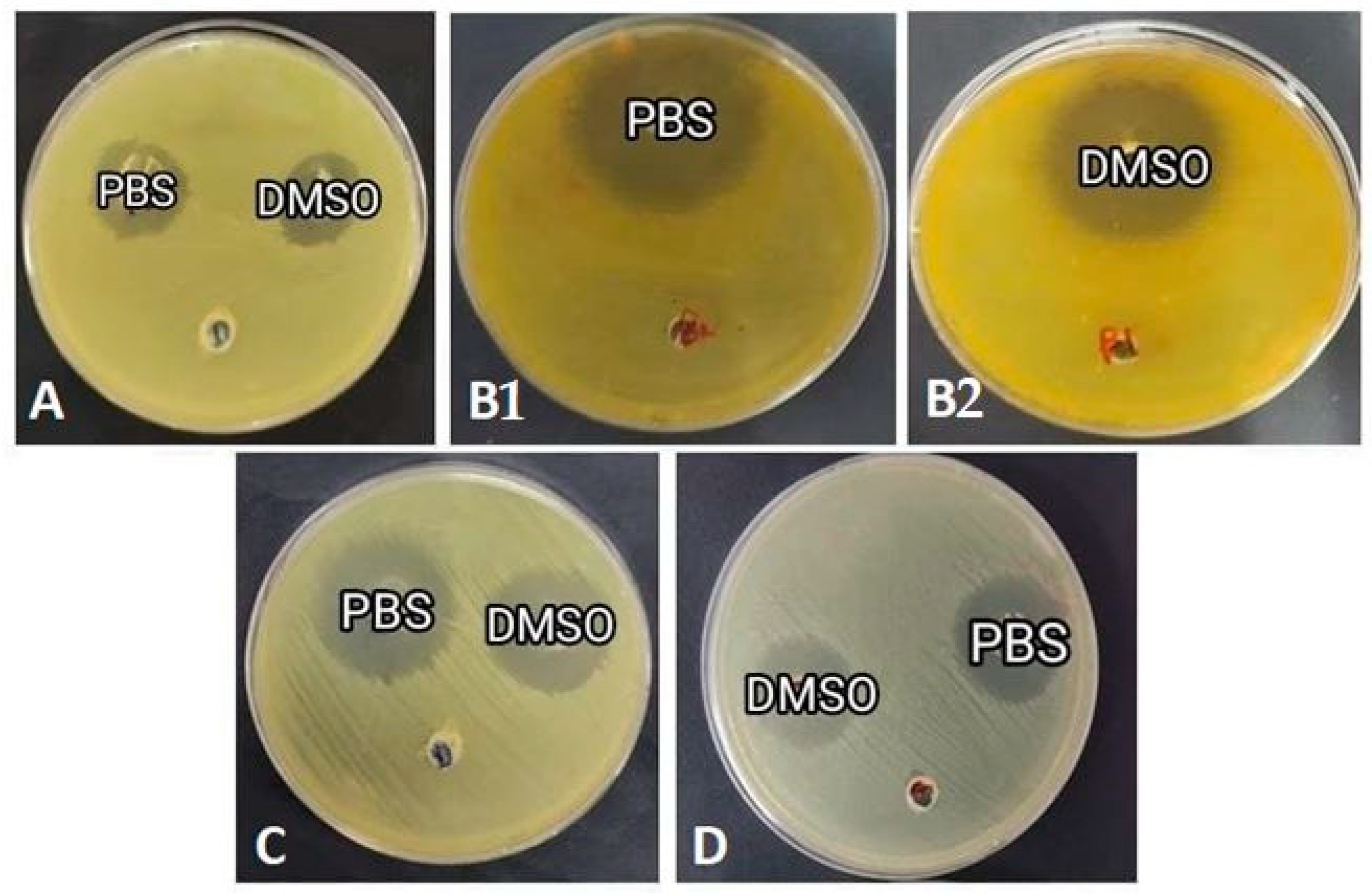 Insects 14 00365 g005