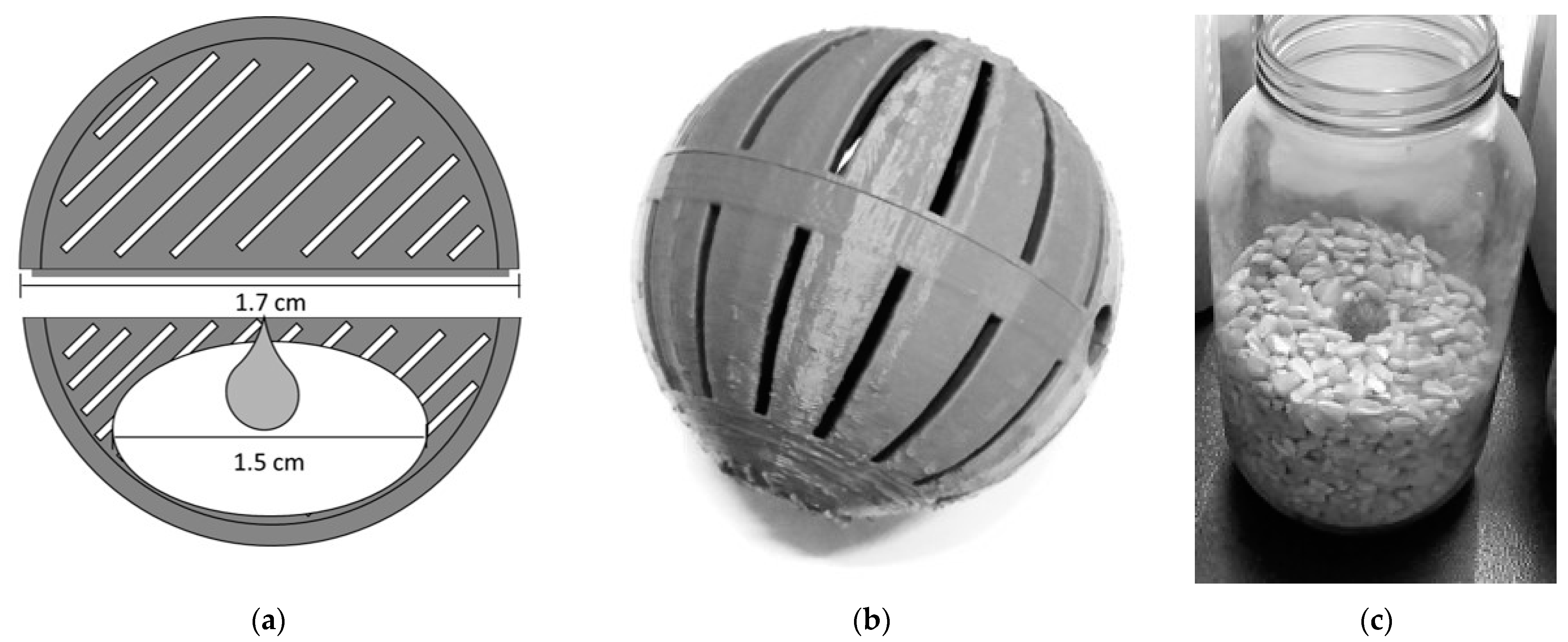 Insects 14 00366 g001